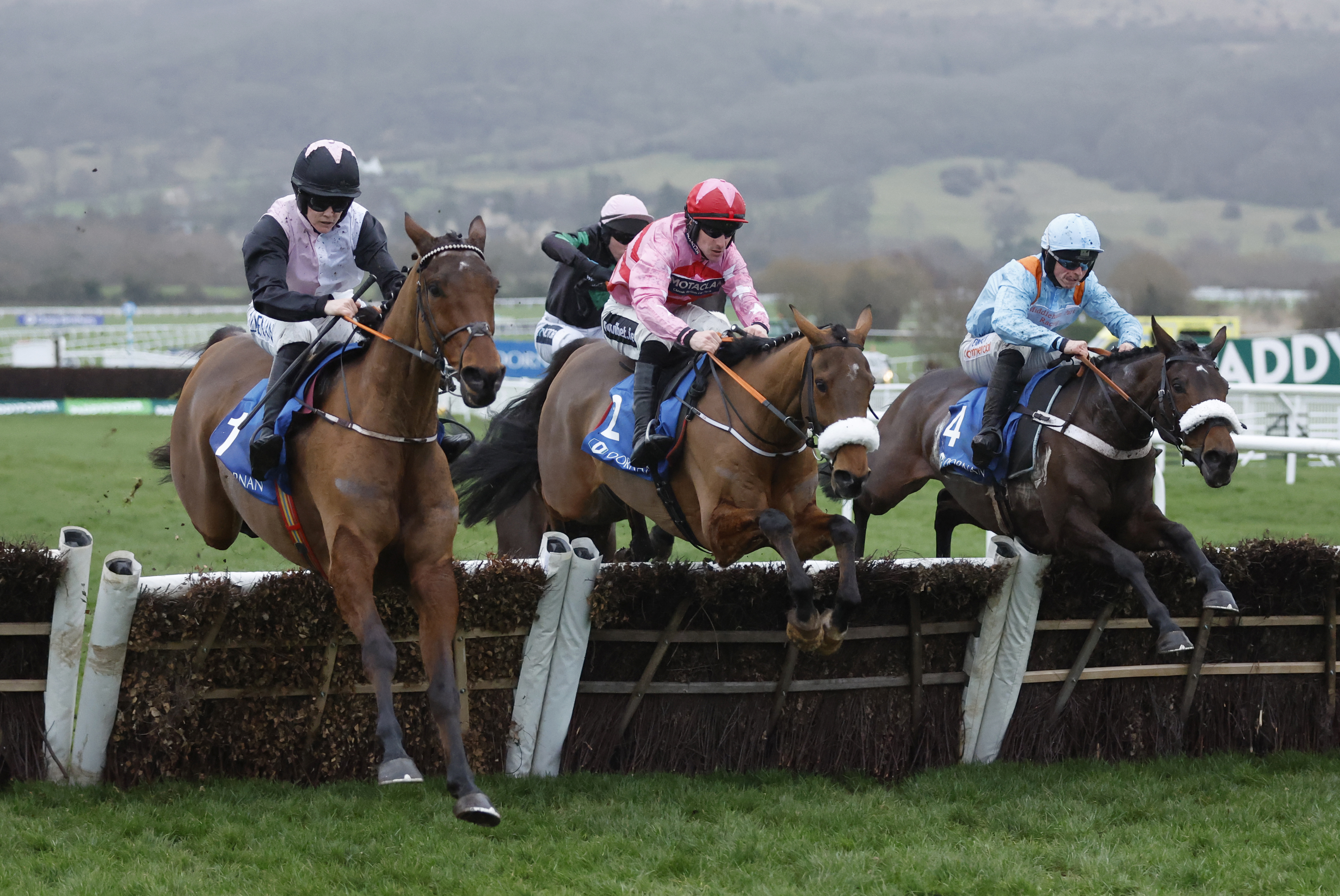Marie's Rock (right) could not match Bob Olinger at Cheltenham