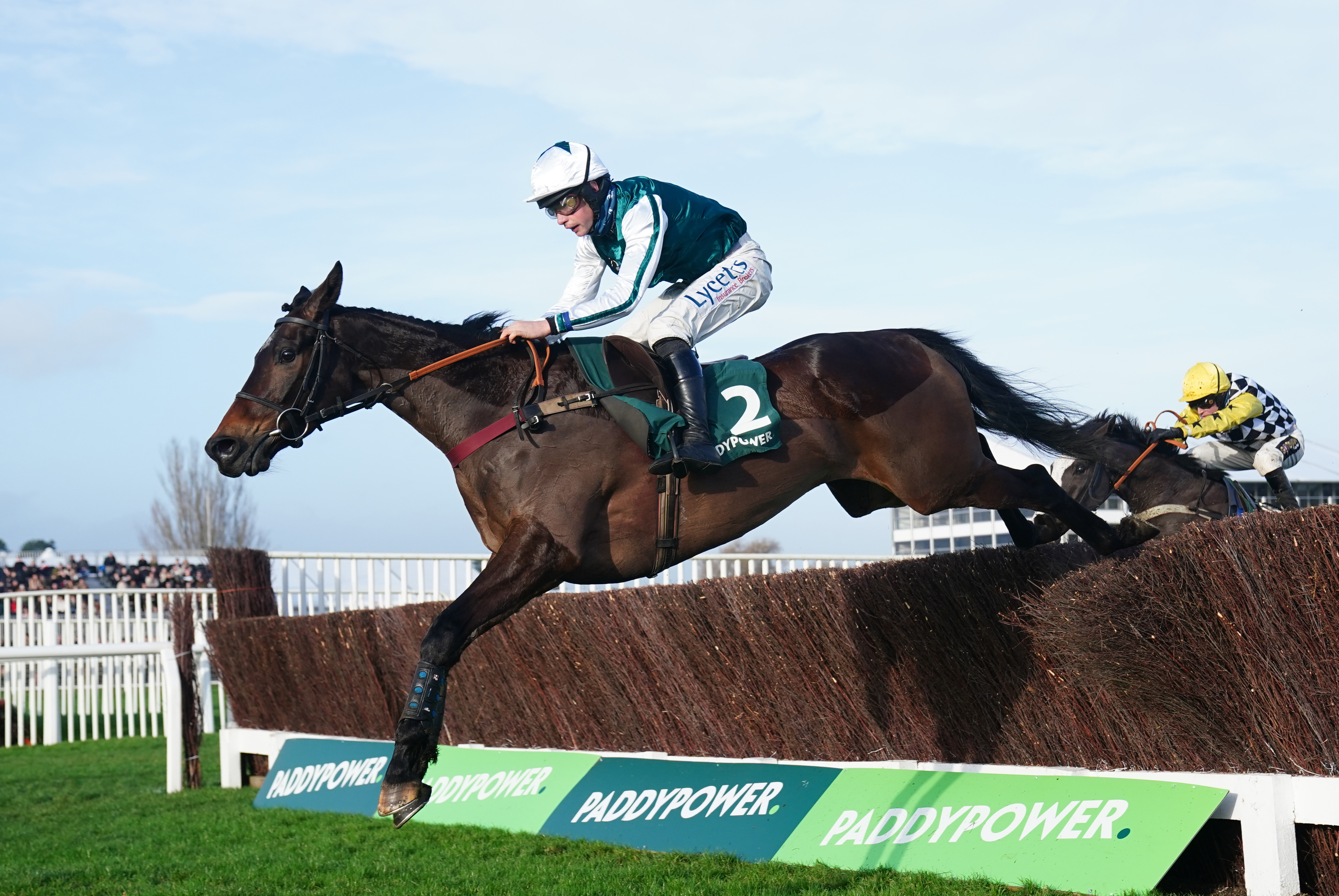 L'Homme Presse in action at Cheltenham