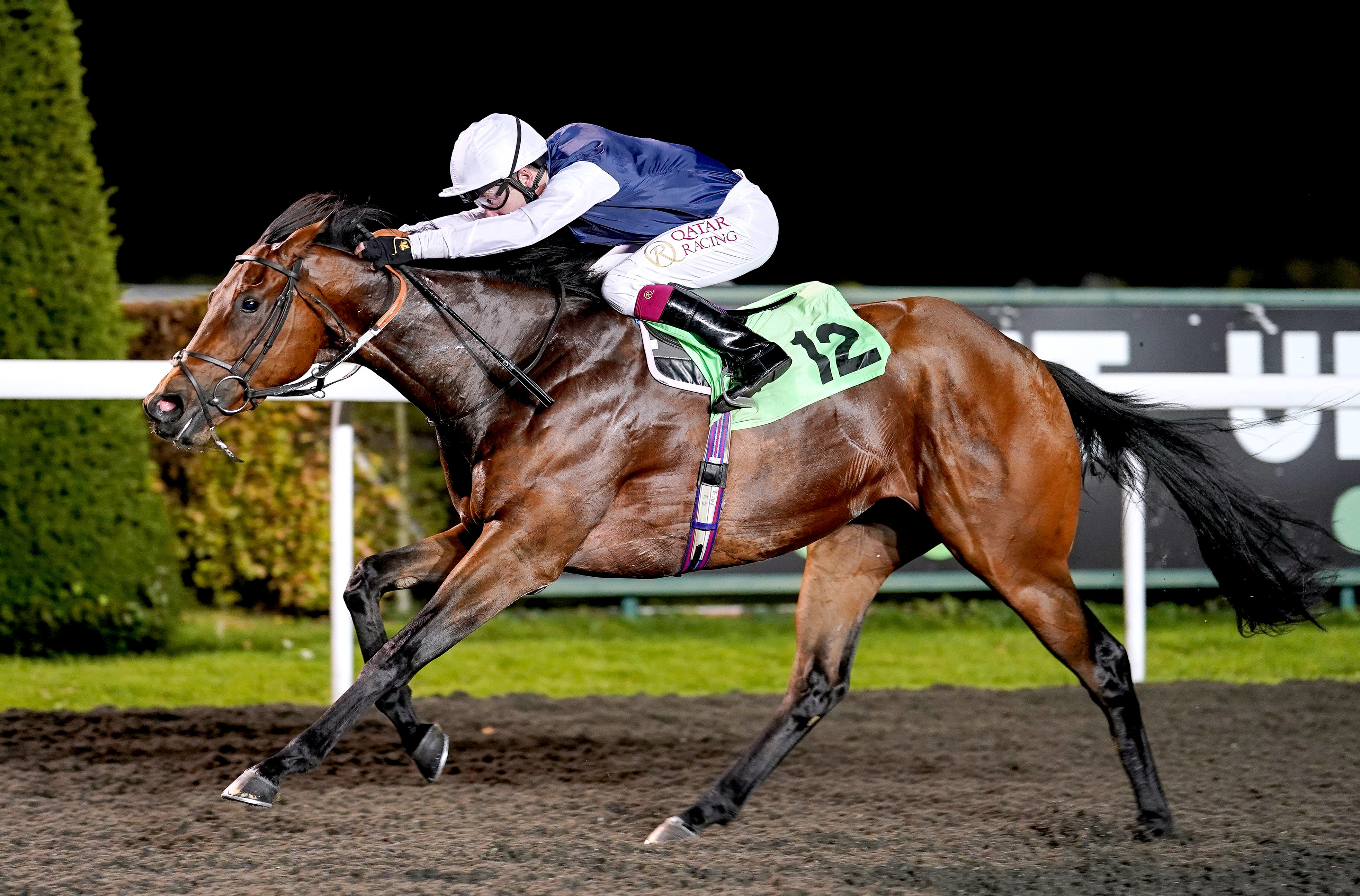 Juan Les Pins at Kempton