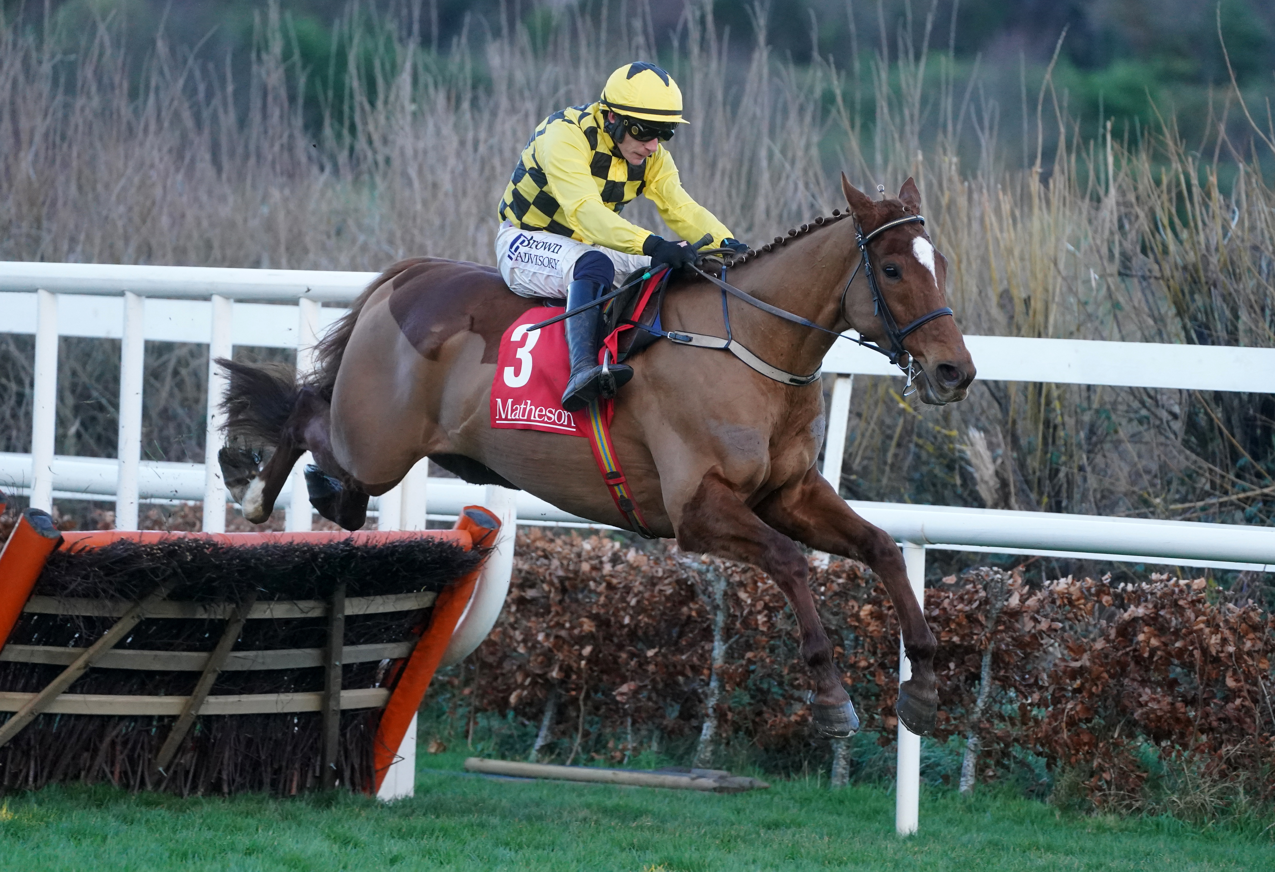 State Man during the Matheson Hurdle