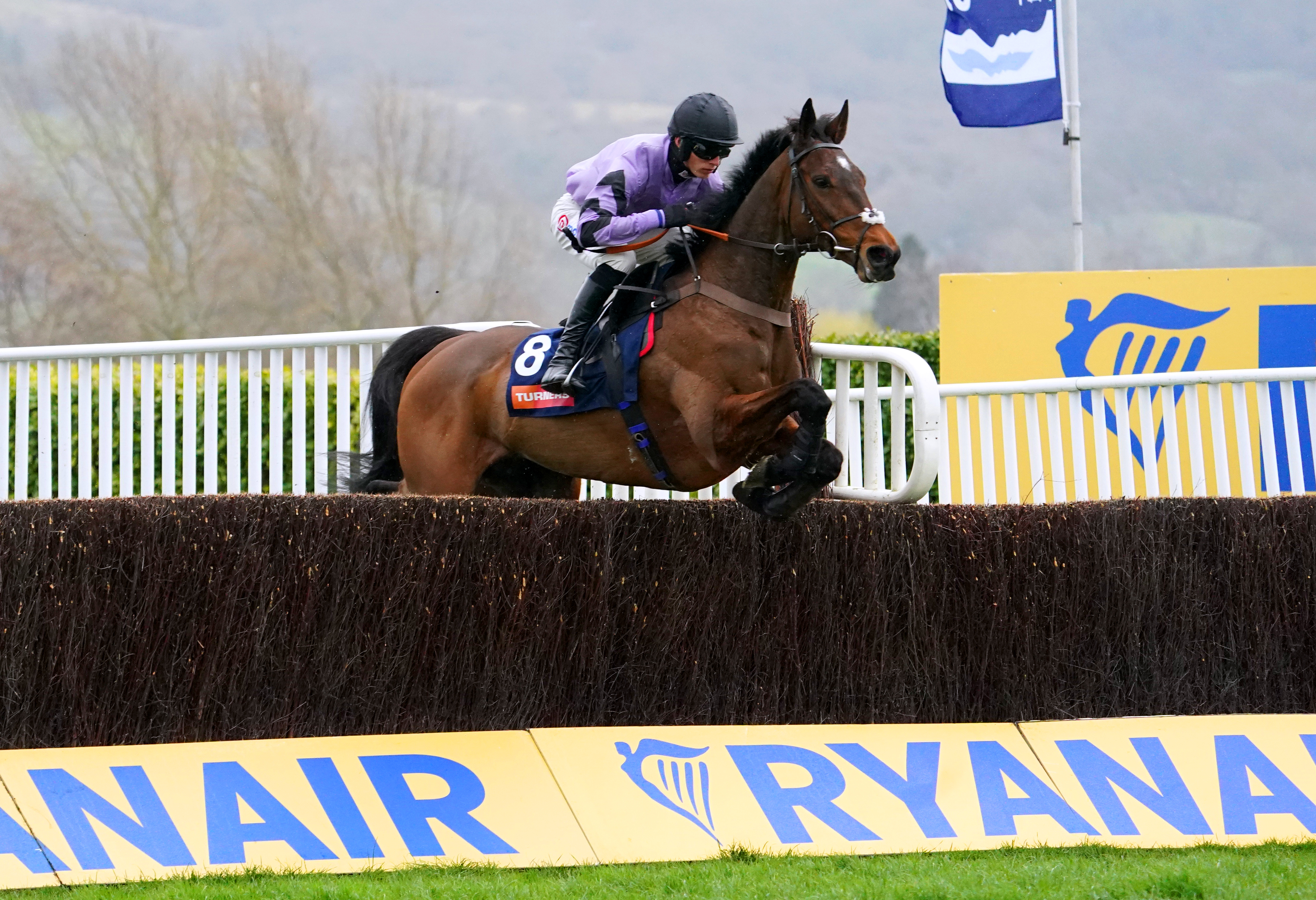 Stage Star at Cheltenham previously