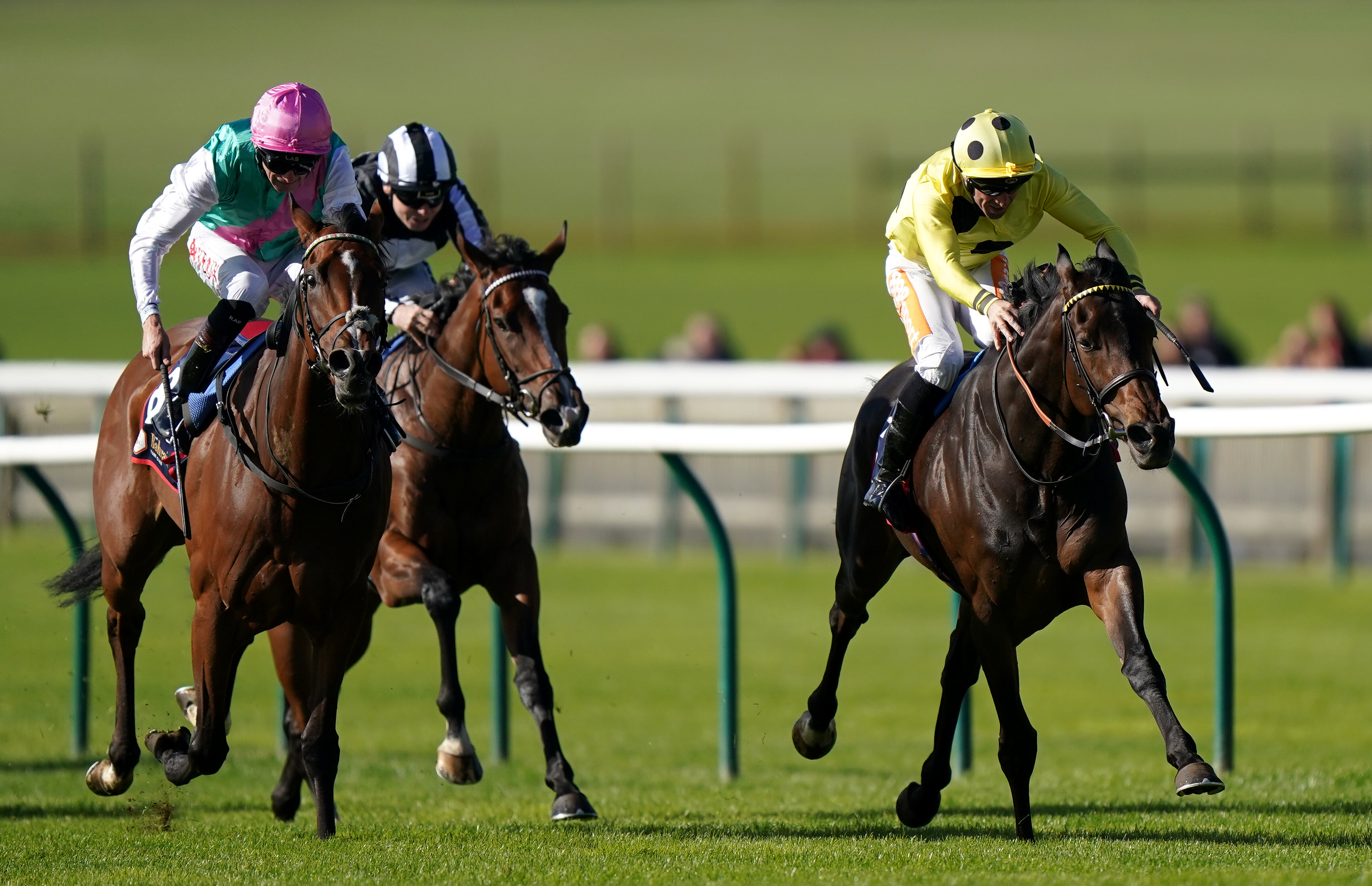 Fonteyn (right) beat Laurel (left) in the Sun Chariot at Newmarket