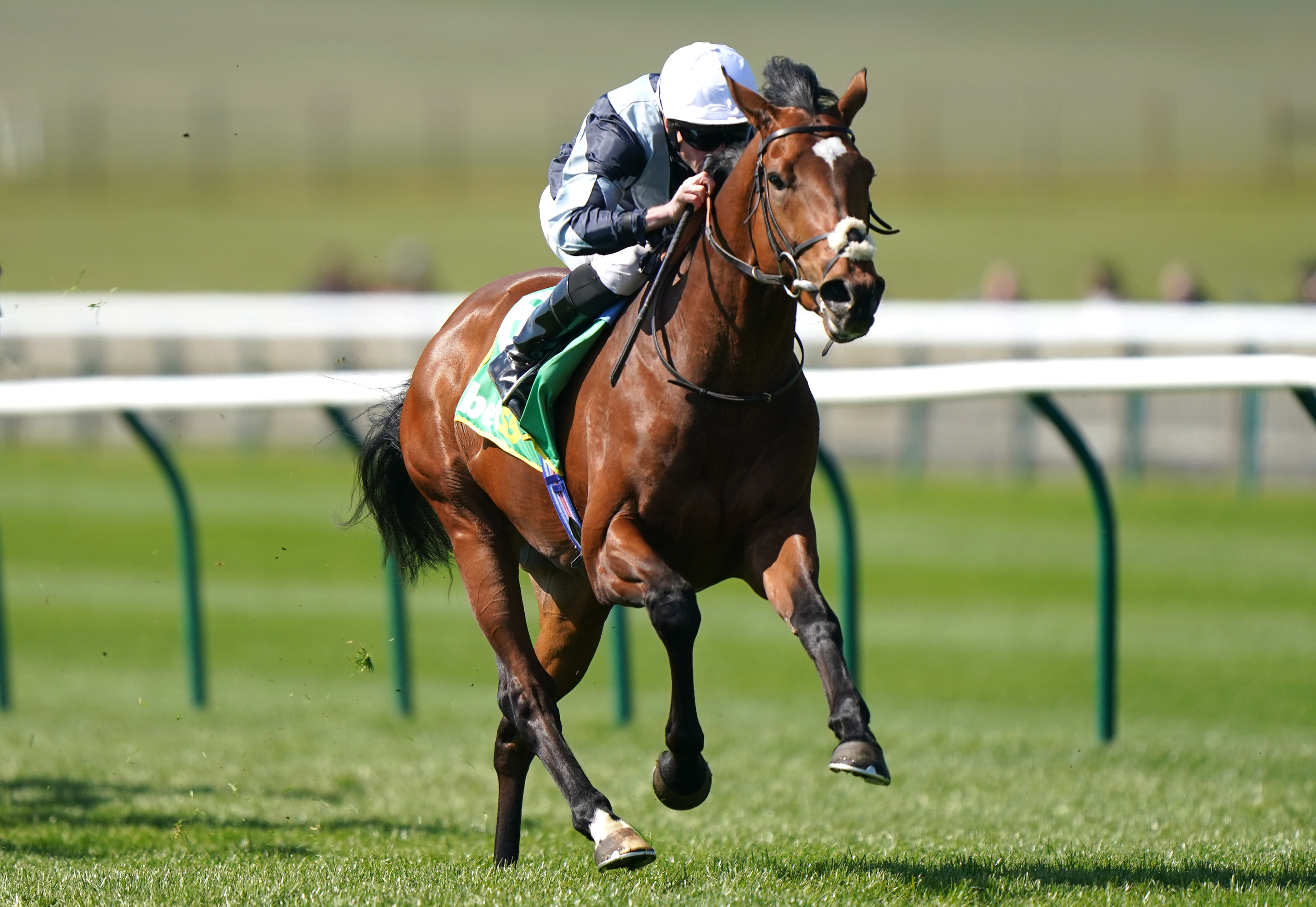 Passenger represents Sir Michael Stoute