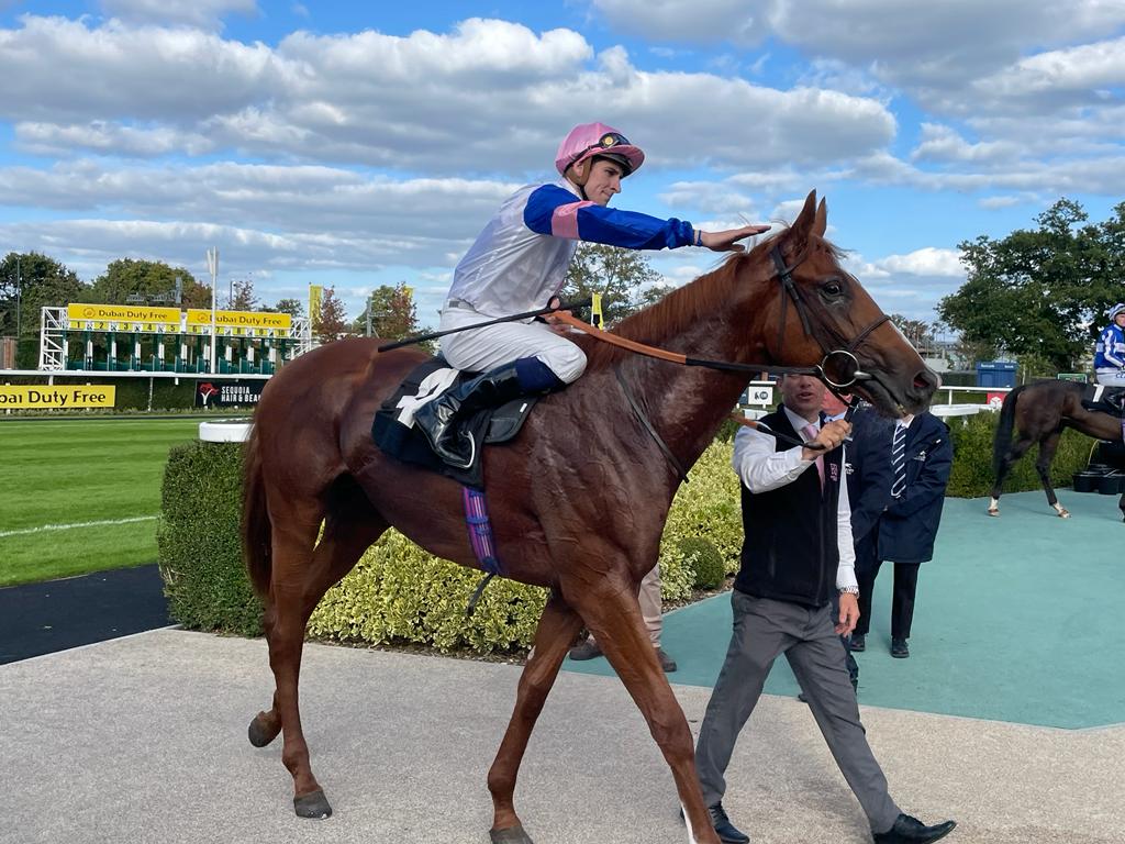Feigning Madness and Hector Crouch return after winning on debut at Newbury