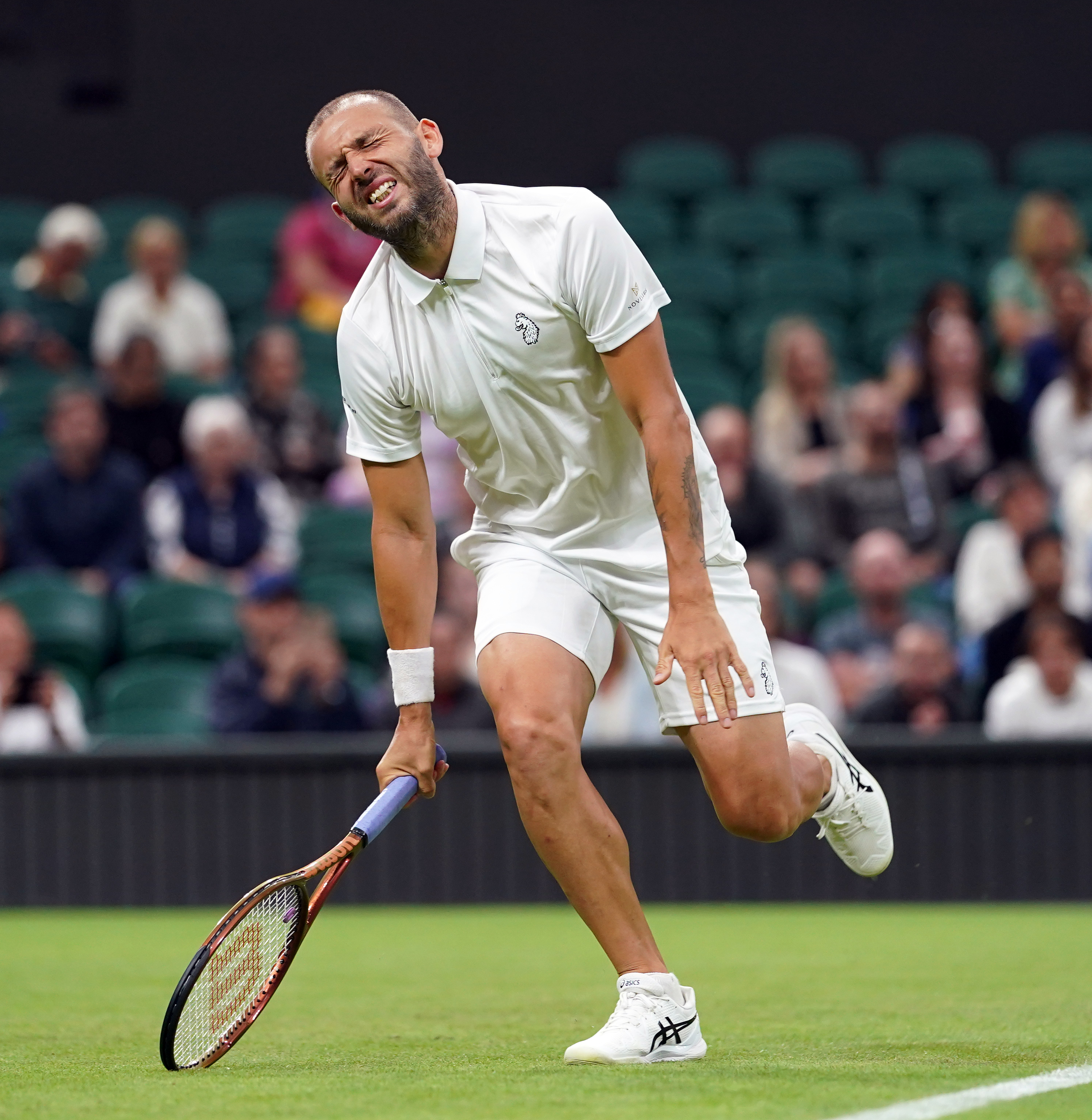 Dan Evans looks disappointed