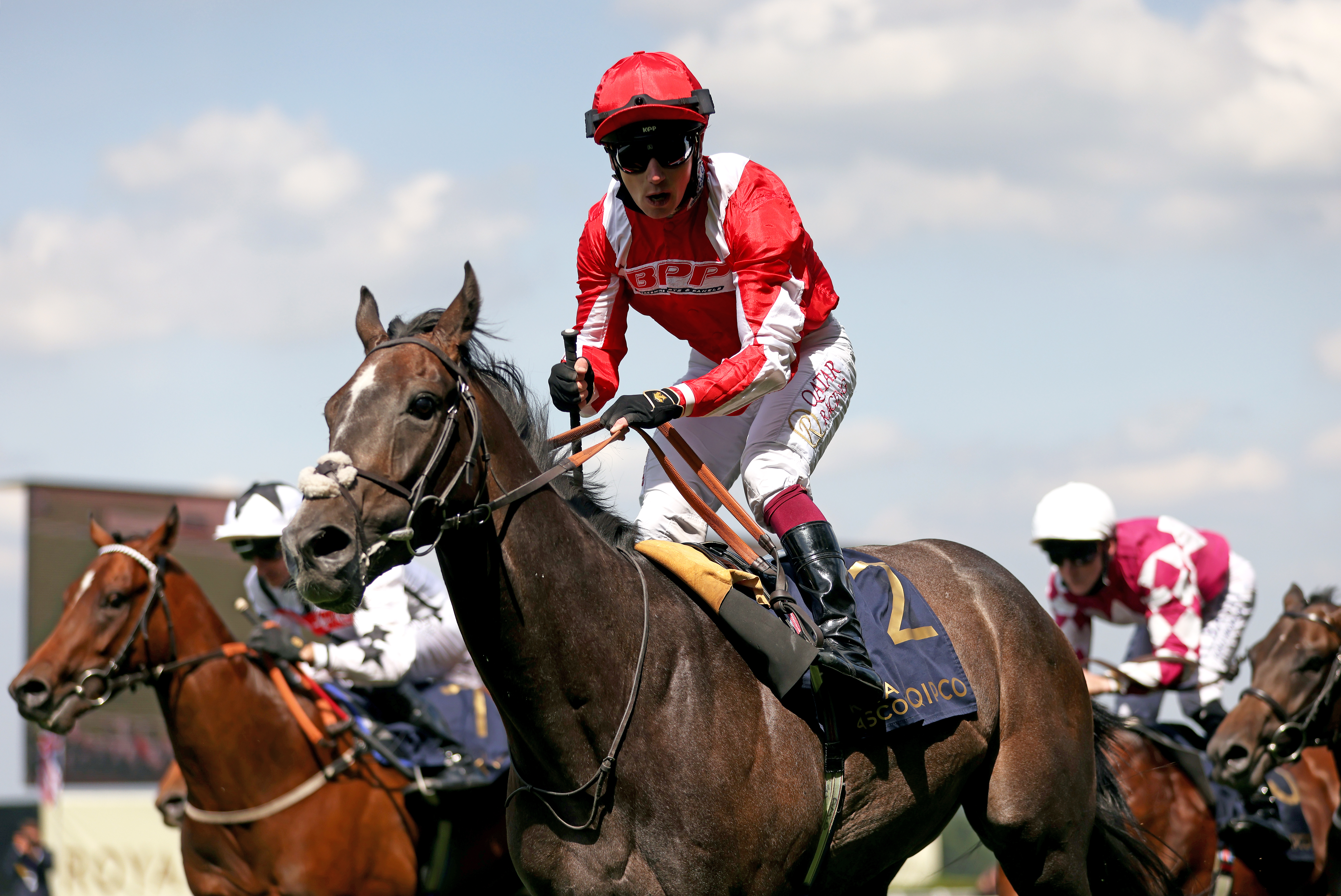 Berkshire Shadow winning the Coventry Stakes at Royal Ascot