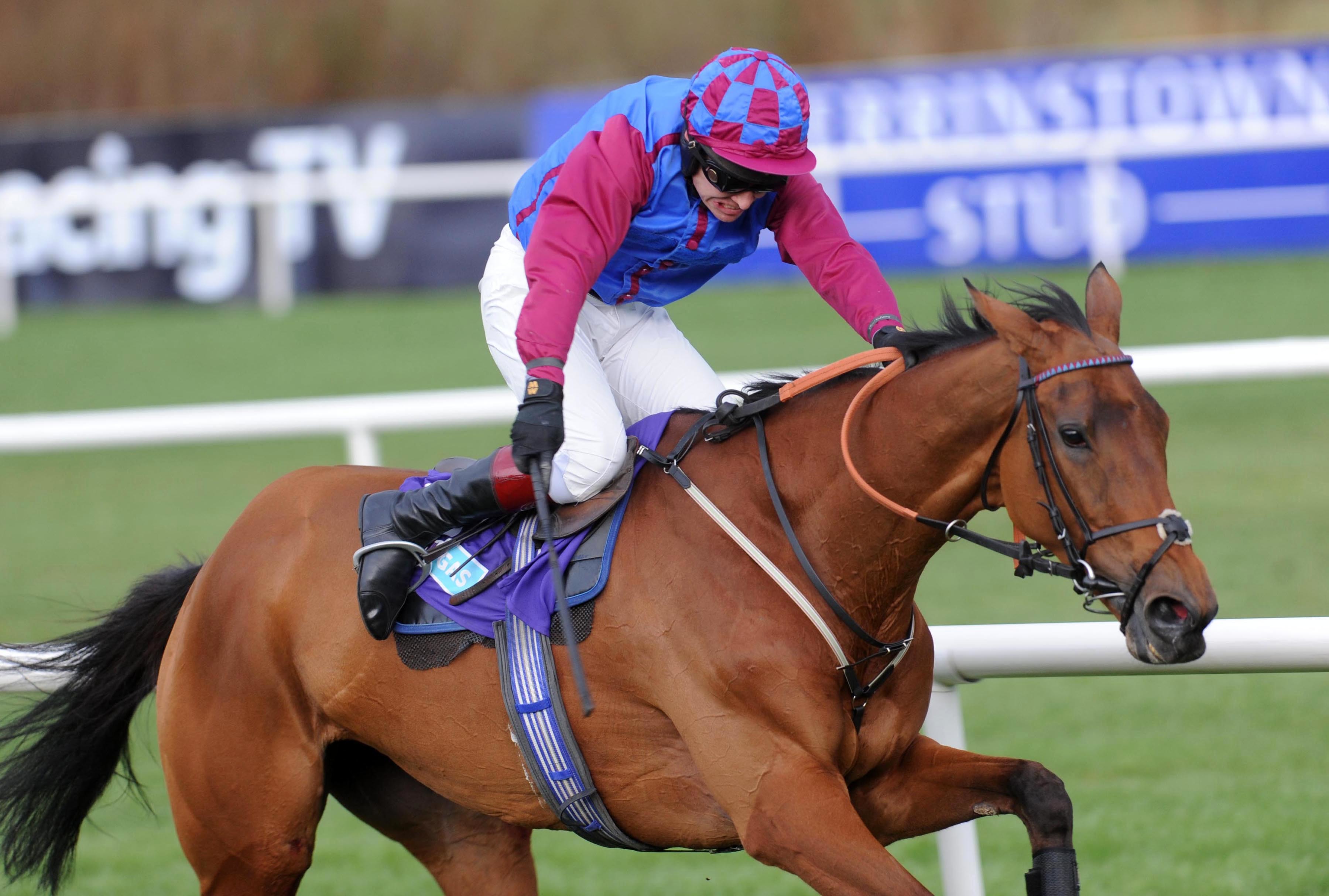 La Bague Au Roi in action at Leopardstown