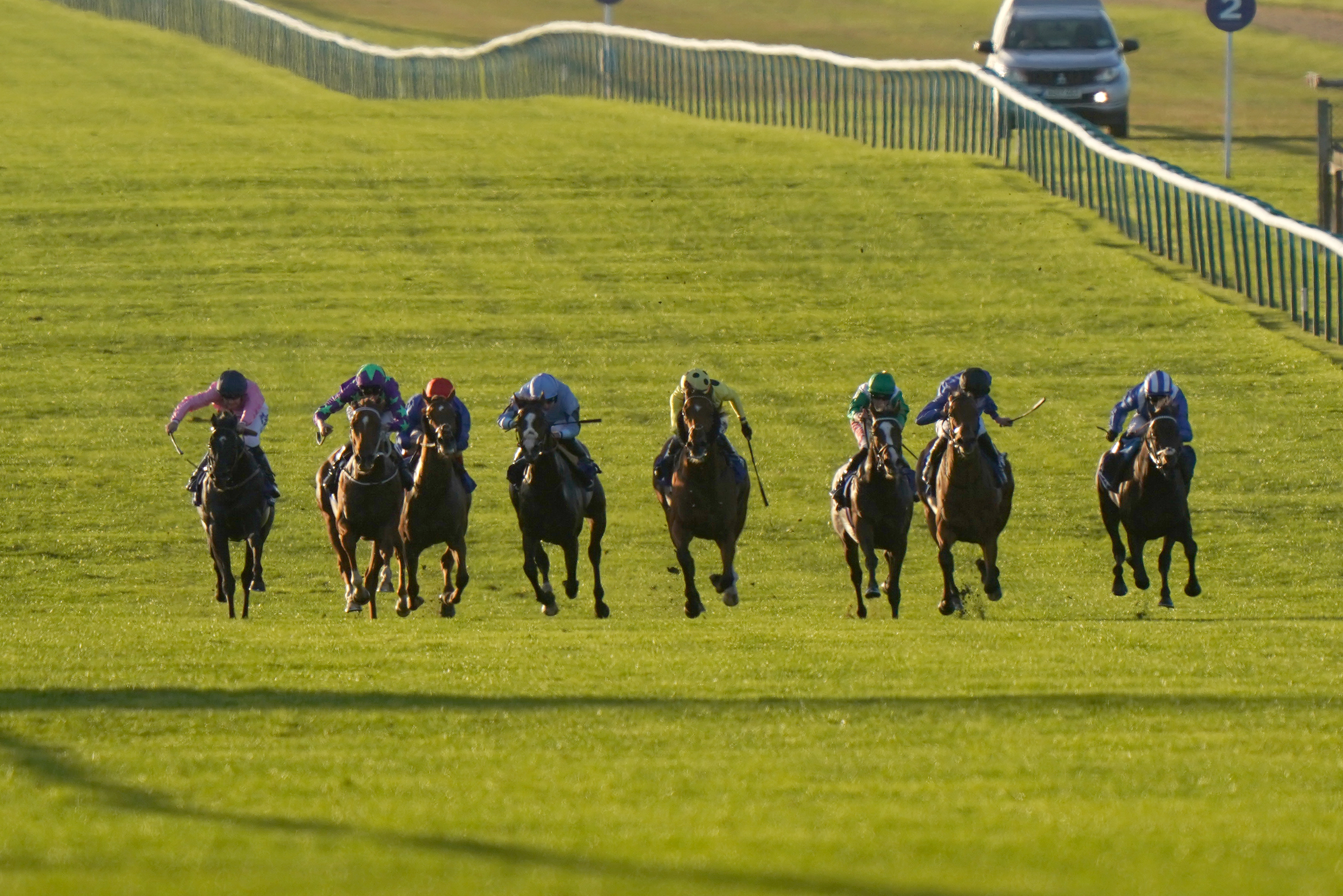 Alflaila (right) at Newmarket