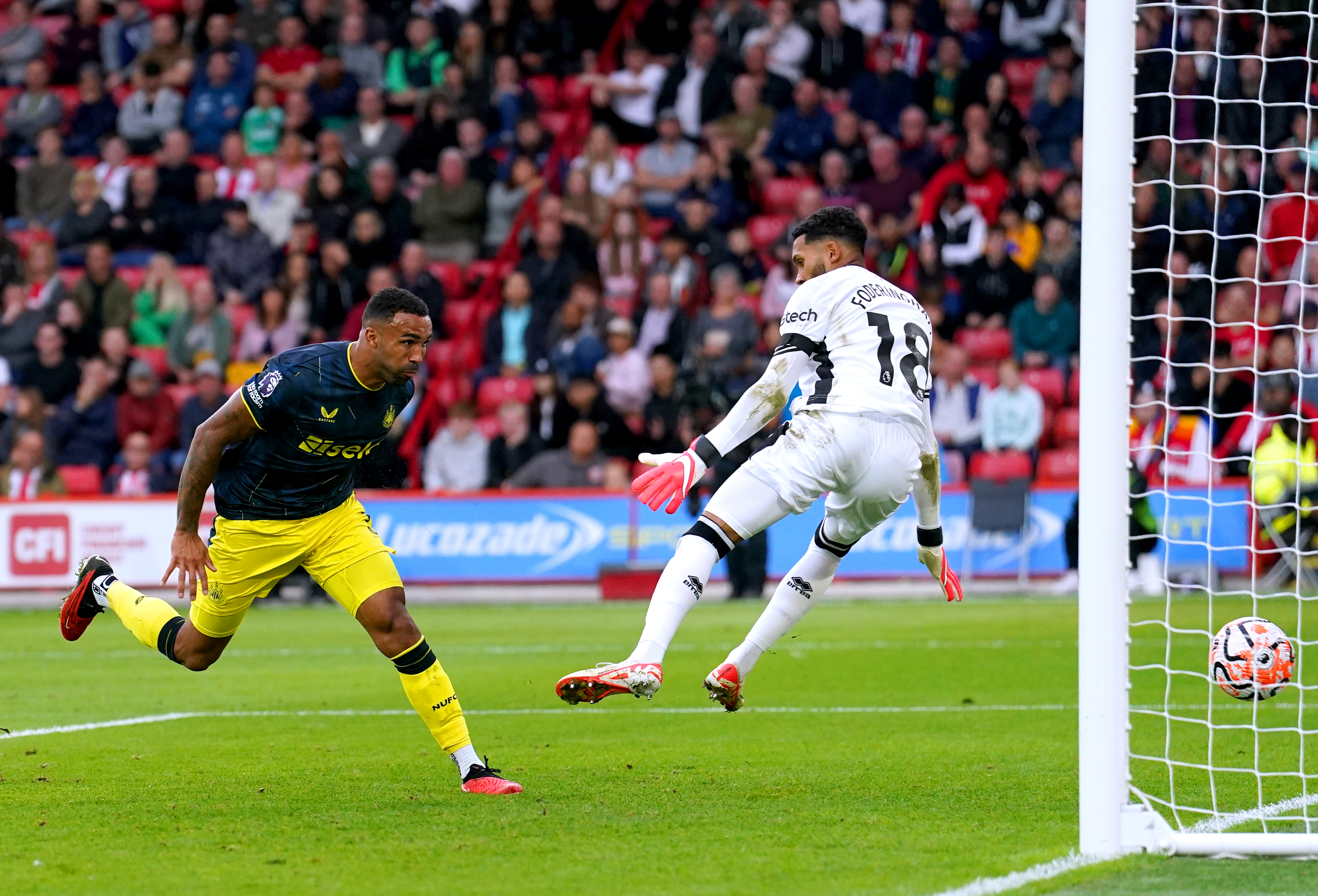Newcastle equal their biggest Premier League win with rout of Sheffield United