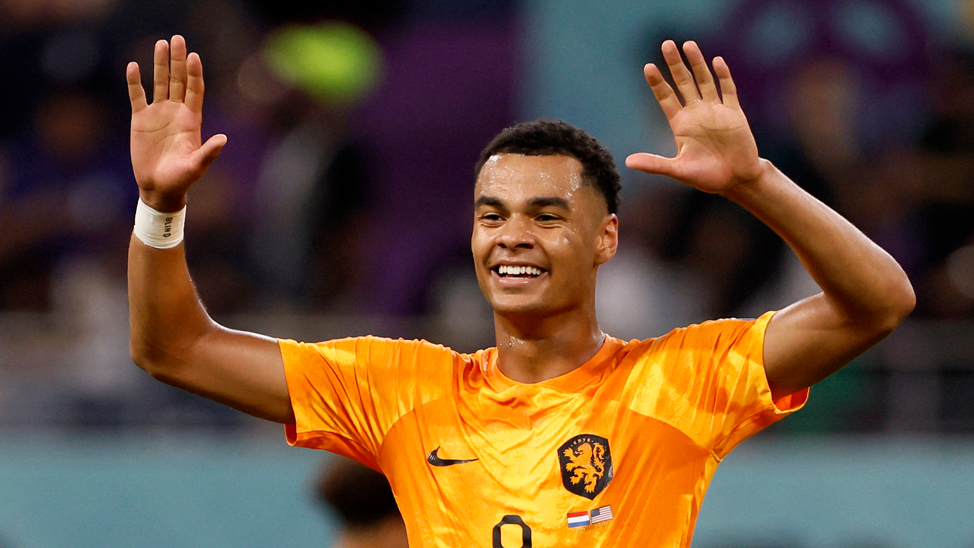 Cody Gakpo impressed at the World Cup for the Netherlands