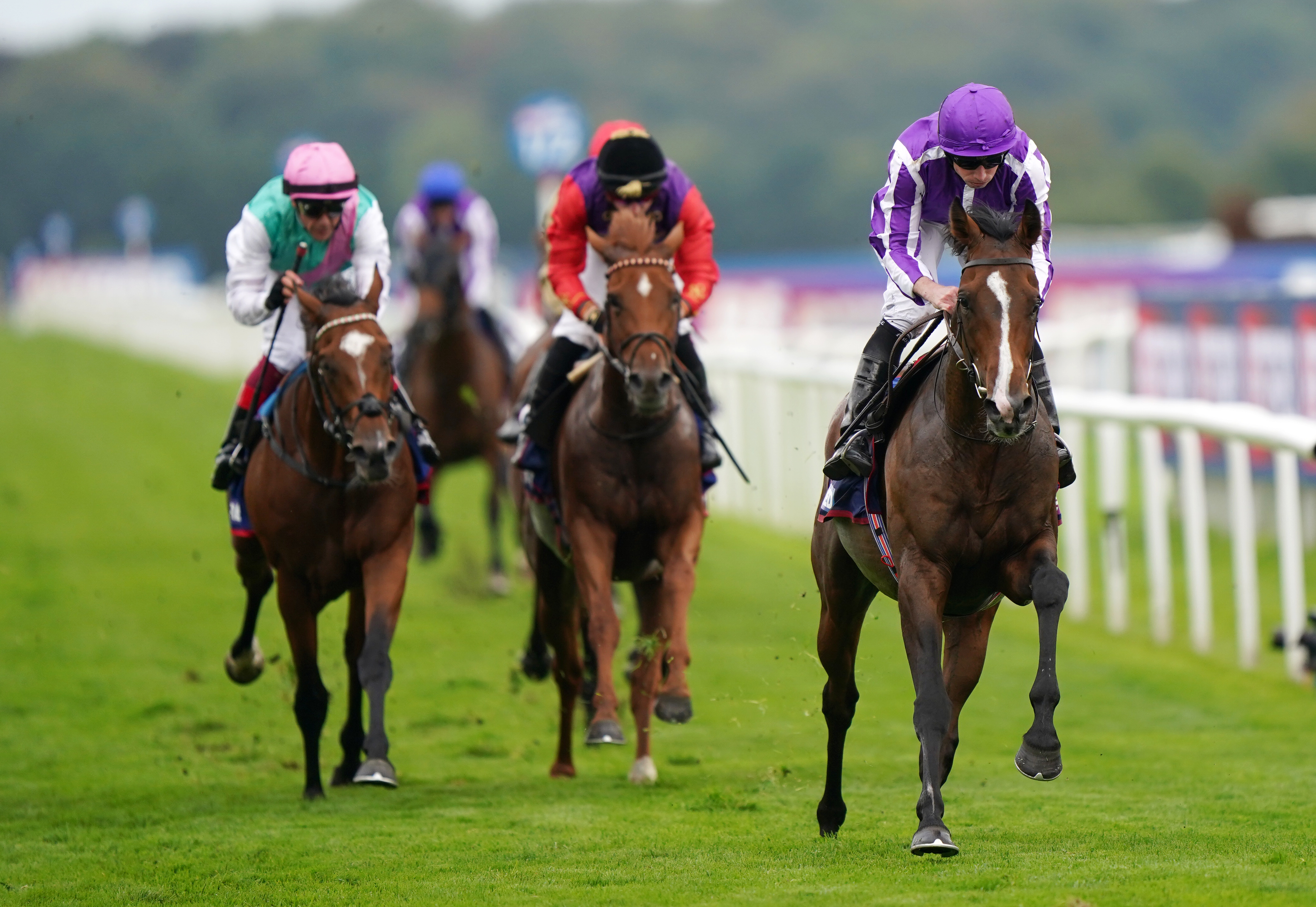 St Leger hero Continuous was a gallant fifth at ParisLongchamp
