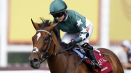 Connections of Nashwa are targeting Champions Day at Ascot (Steven Paston/PA)