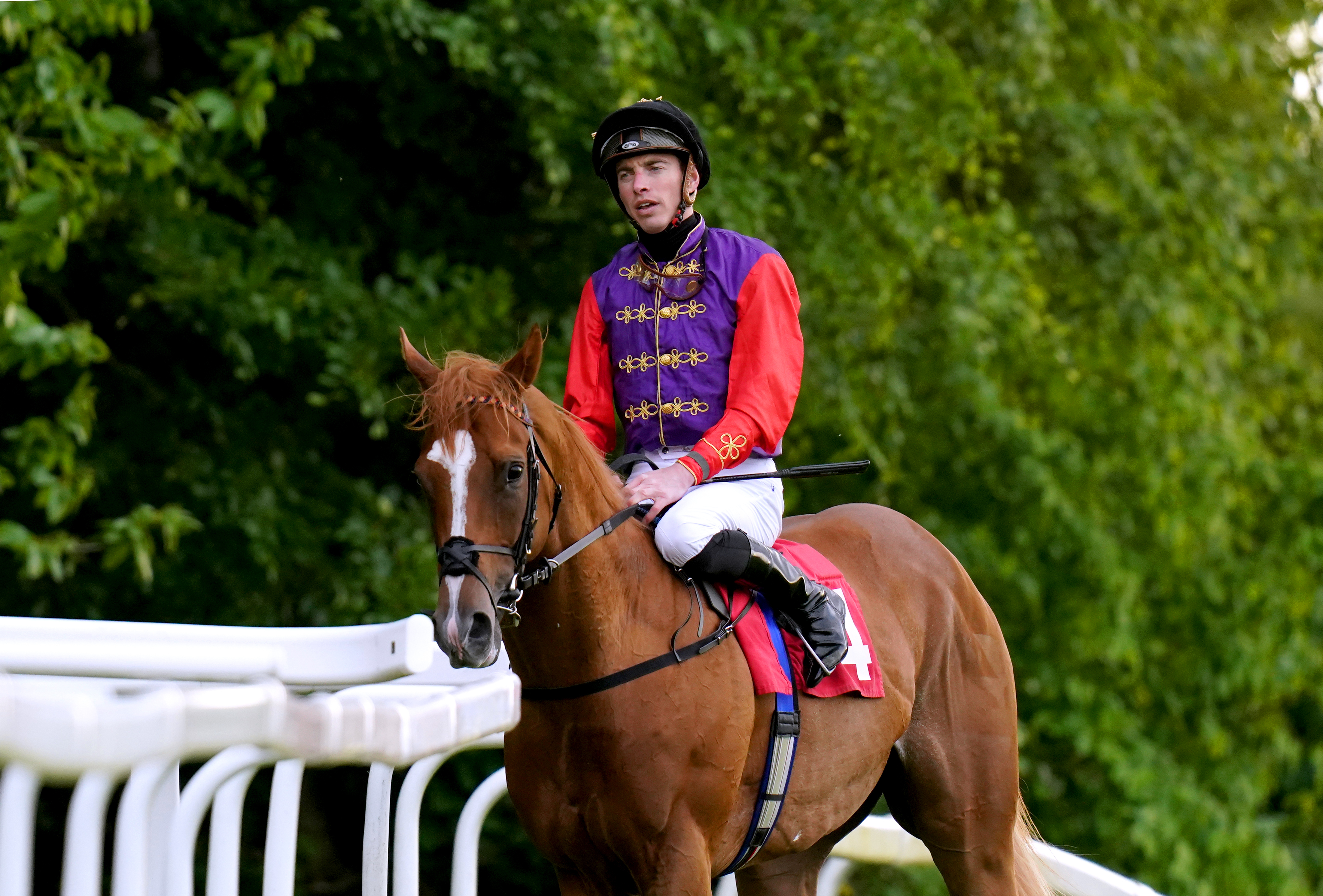 Slipofthepen and James Doyle after finishing third at Sandown