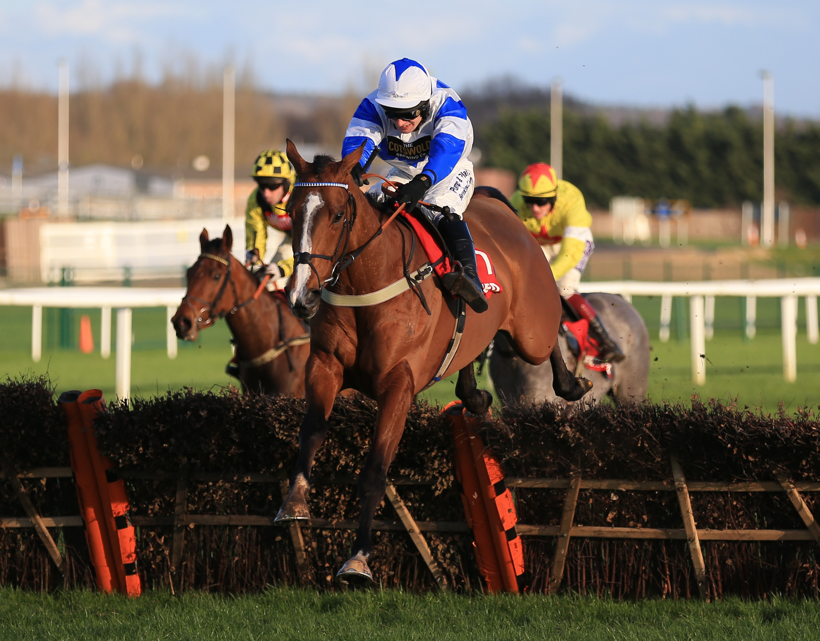Barters Hill was Pauling's first top-class horse