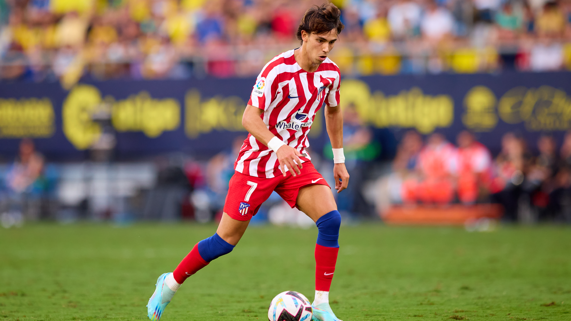 Chelsea loan signing Joao Felix