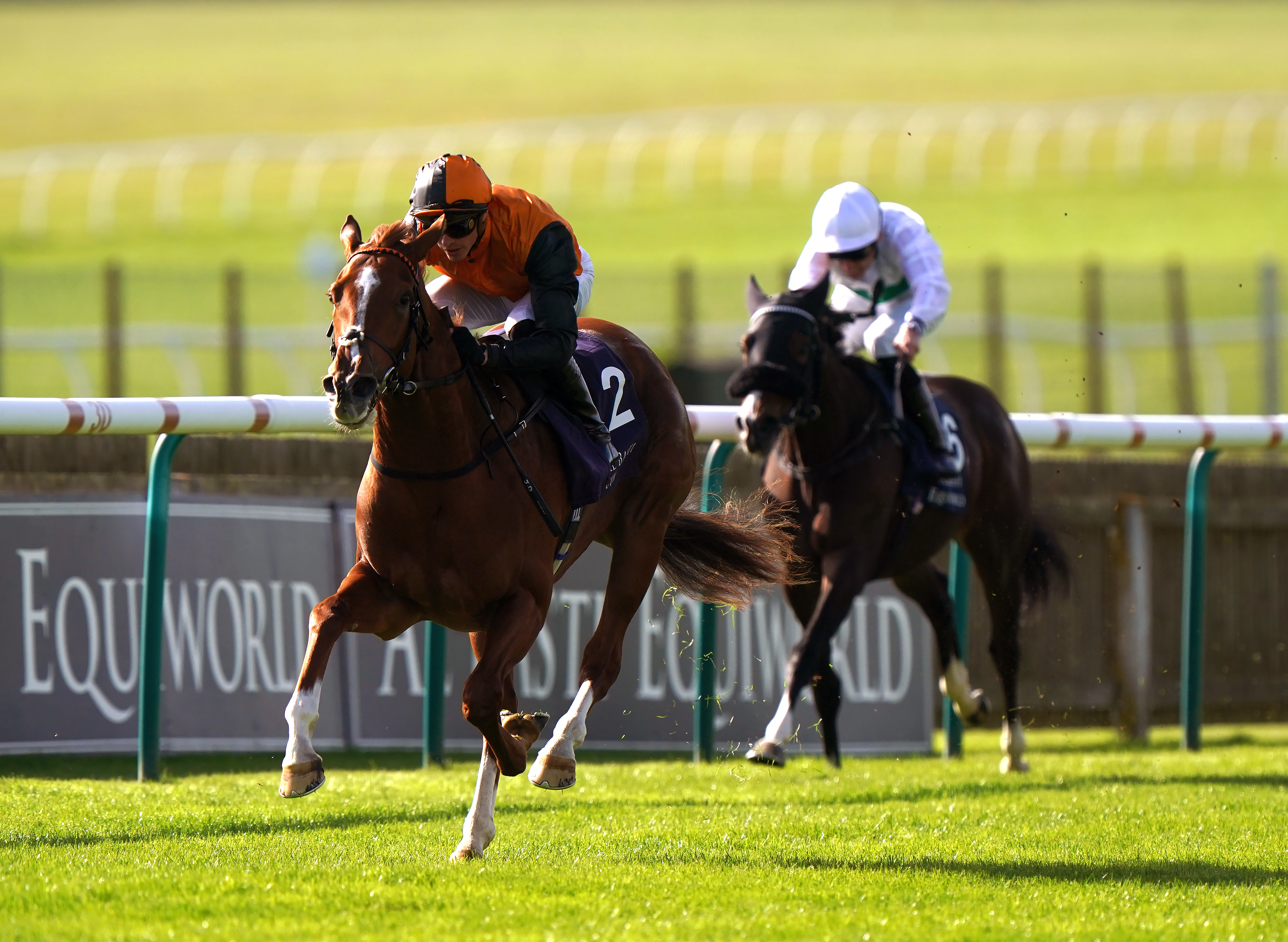 Carla’s Way was an impressive winner of the Rockfel Stakes