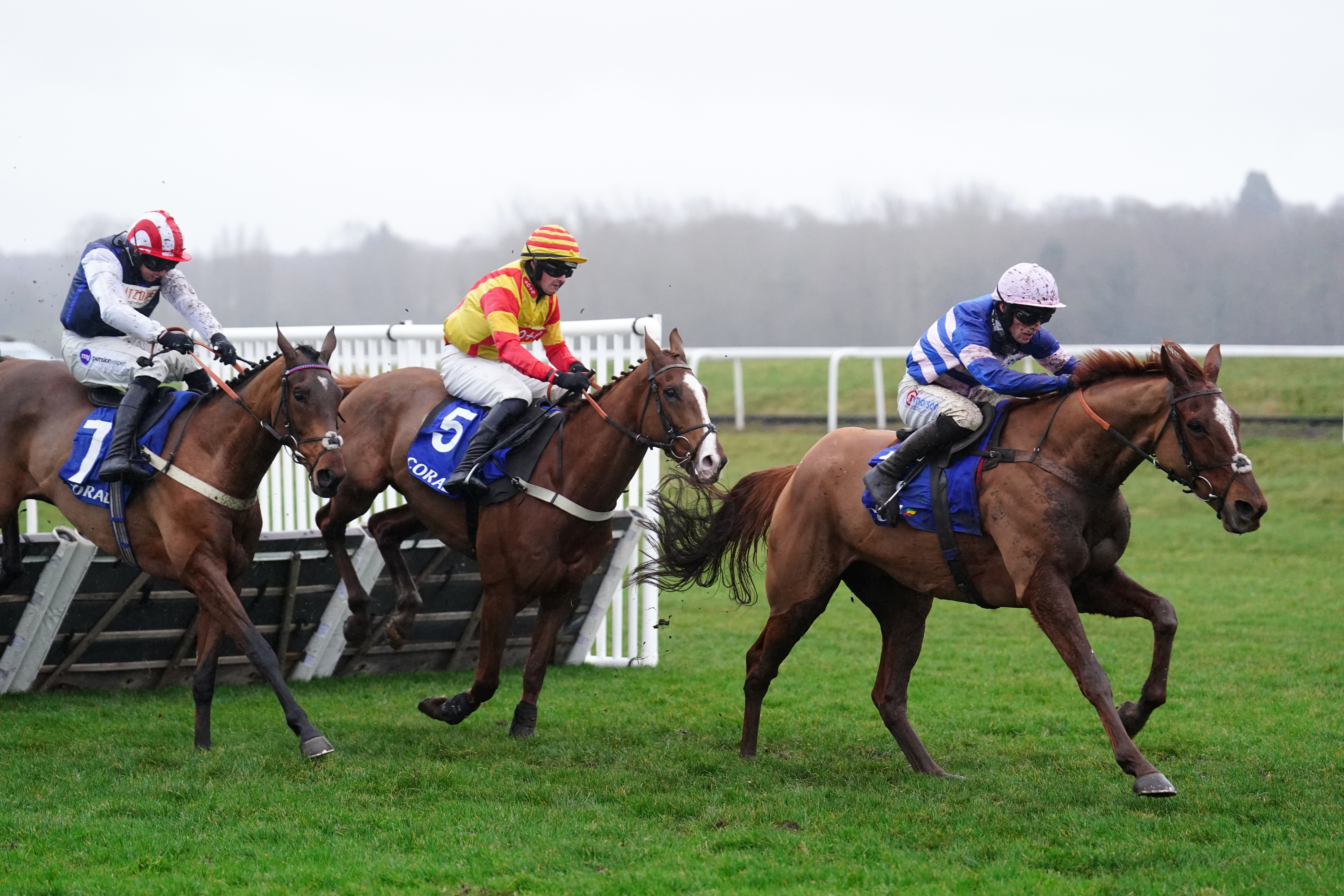 Lookaway (centre) gave Captain Teague a huge scare in the Challow Hurdle