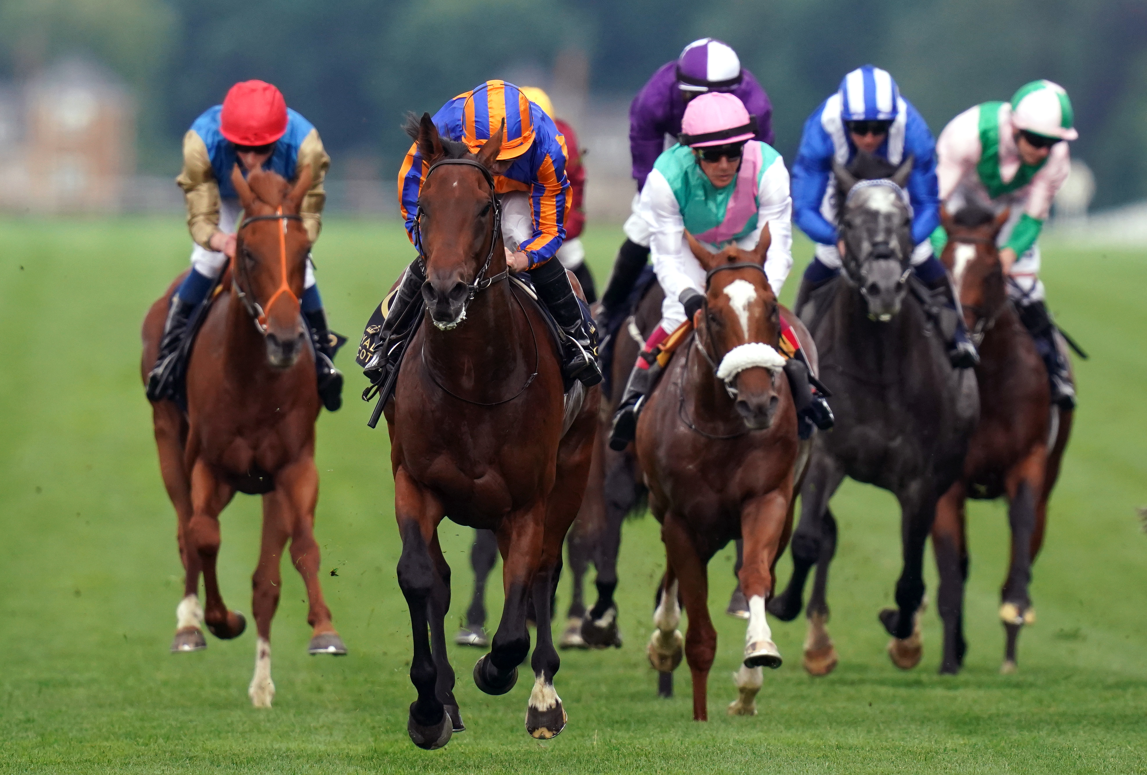 Isaac Shelby (left) finished fourth behind Paddington at Royal Ascot