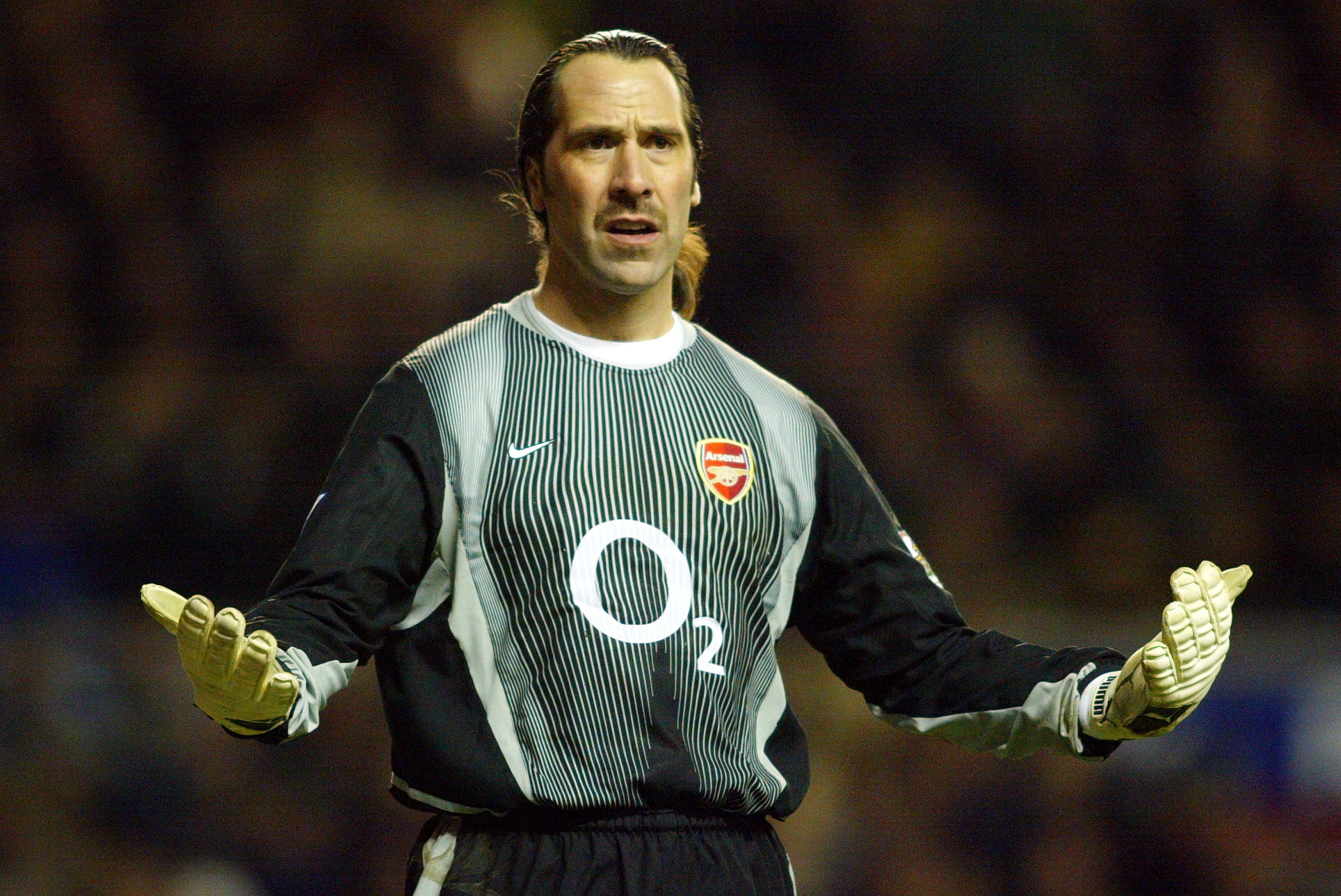 David Seaman