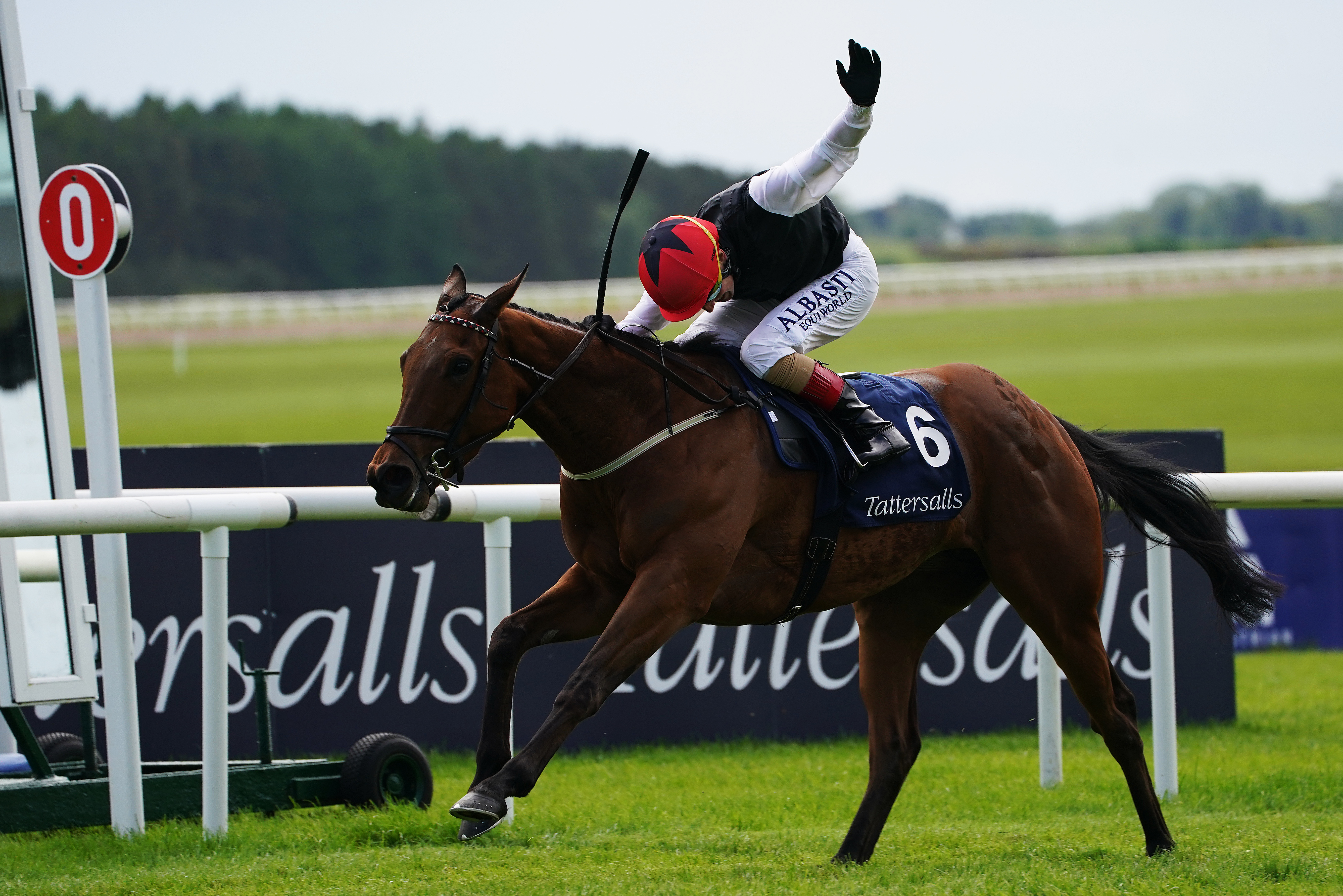 Chris Hayes winning last year's Irish 1,000 Guineas