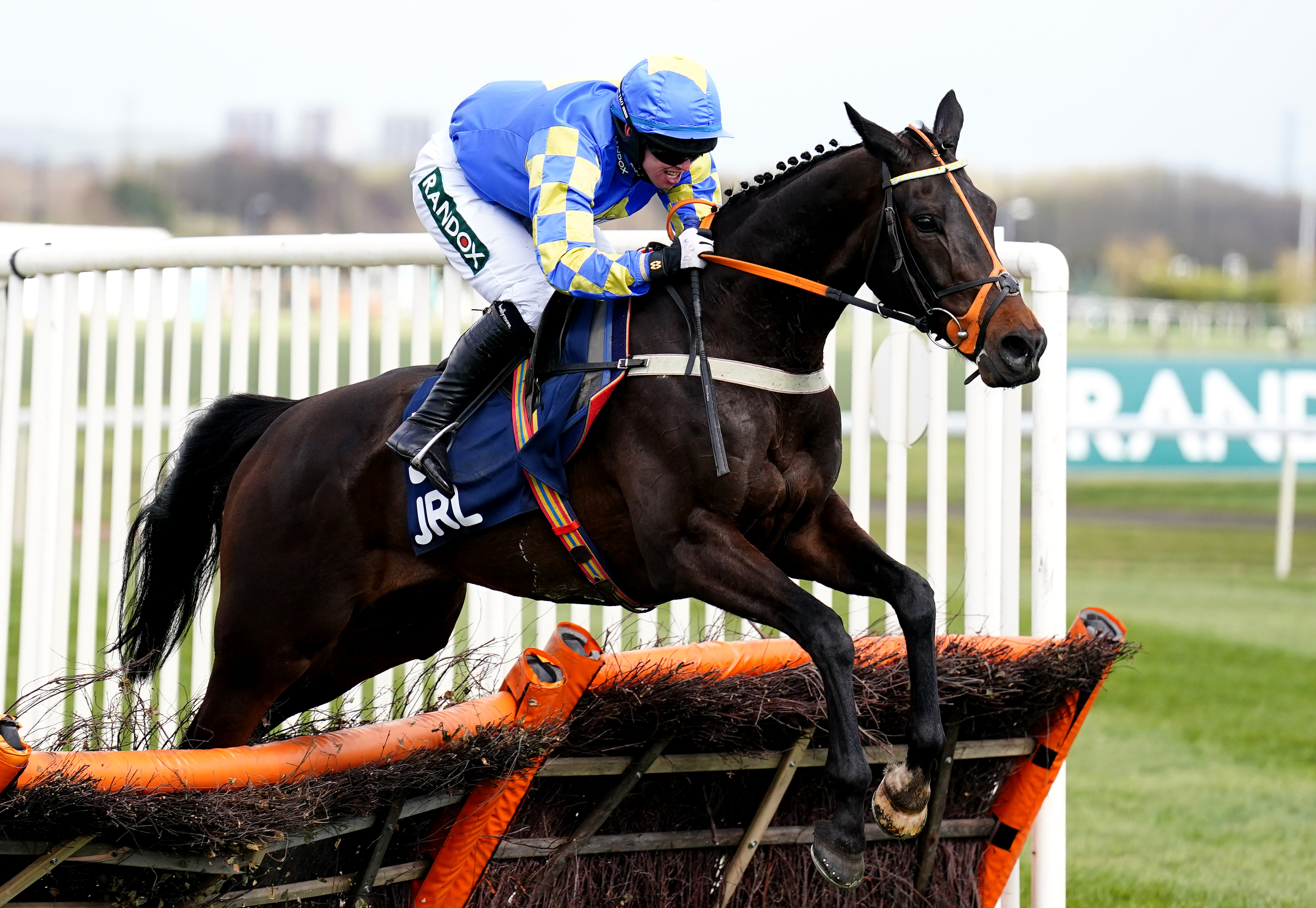 Roi Mage contesting the JRL Group Liverpool Hurdle at Aintree earlier in his career