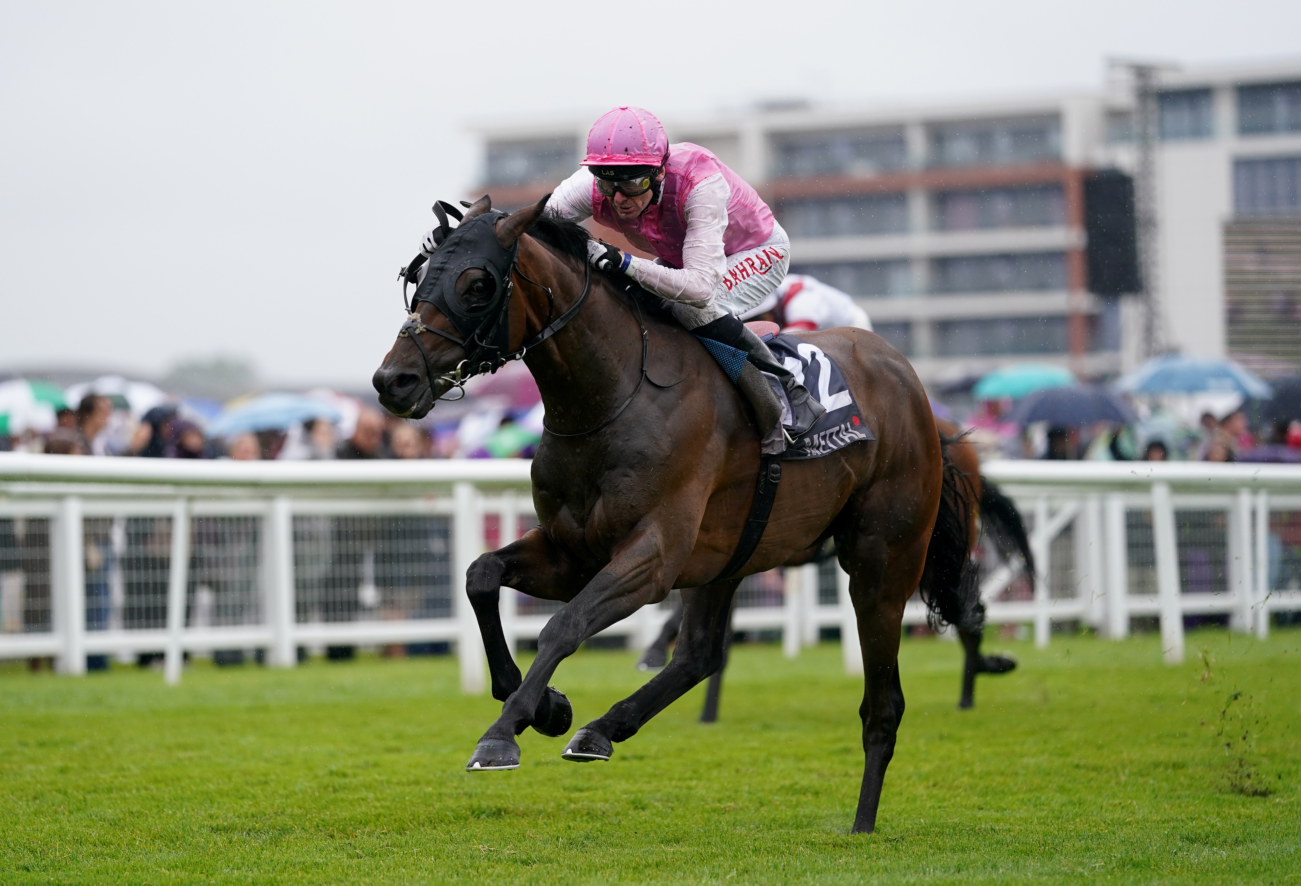 Sweet William winning at Newbury