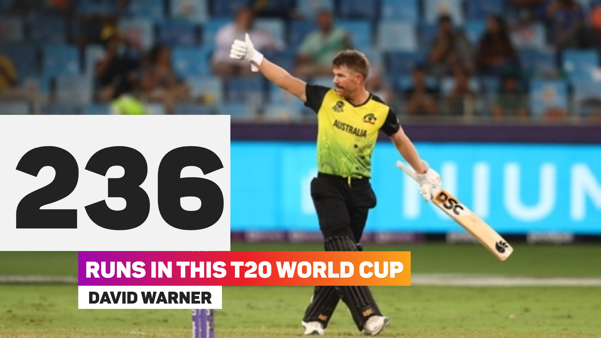 David Warner