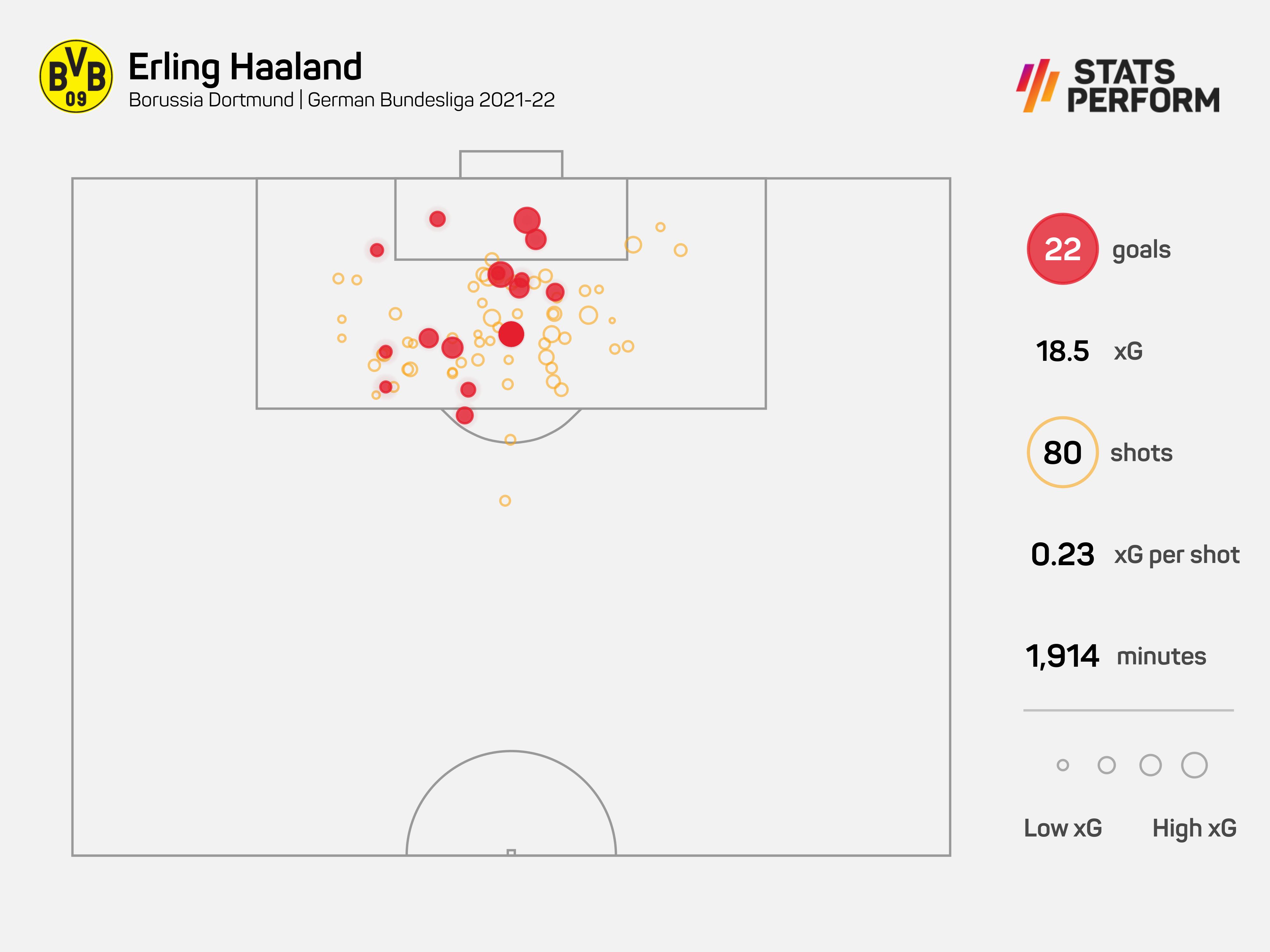 Erling Haaland