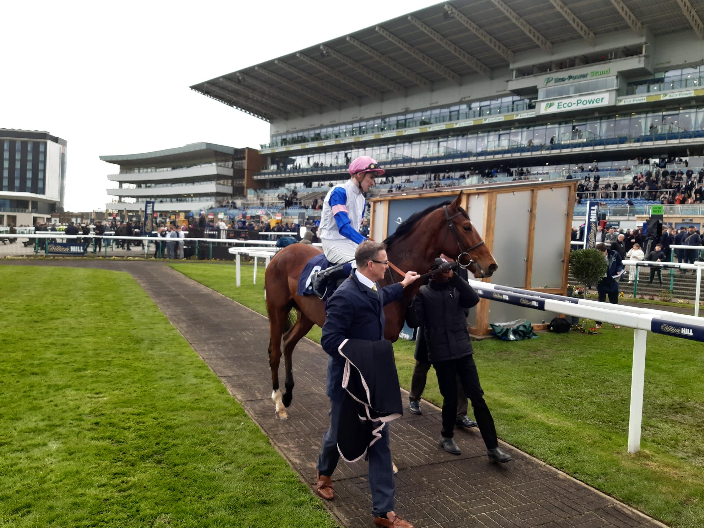 Moon Over Miami and Hector Crouch return