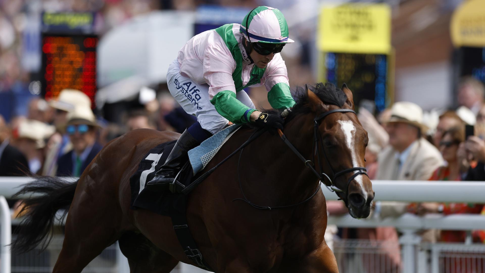 Royal Scotsman could bypass Ascot if he does not recover from sore feet (Steven Paston/PA)