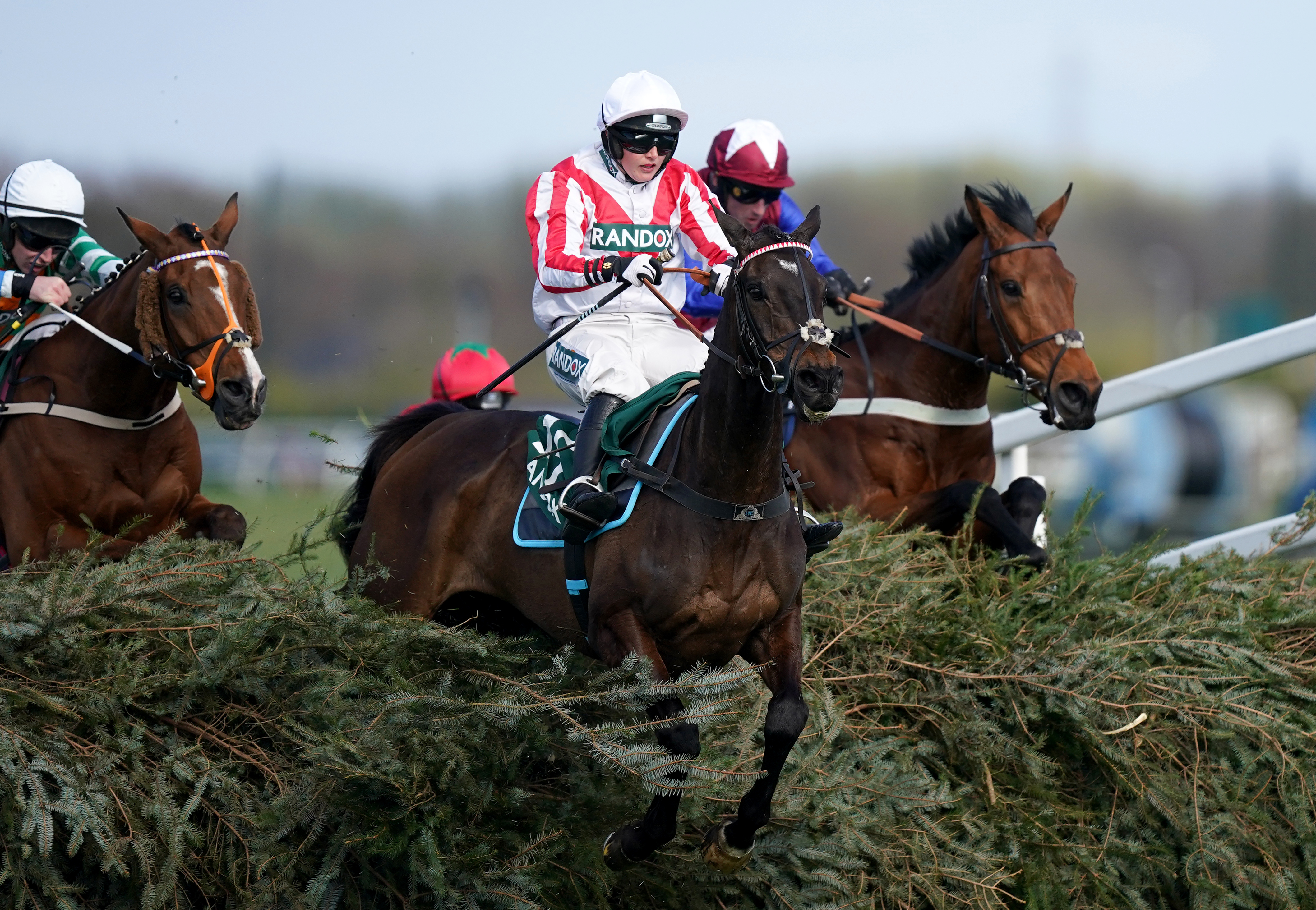 Latenightpass in action at Aintree