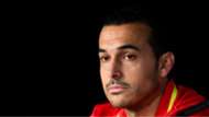 pedro - cropped