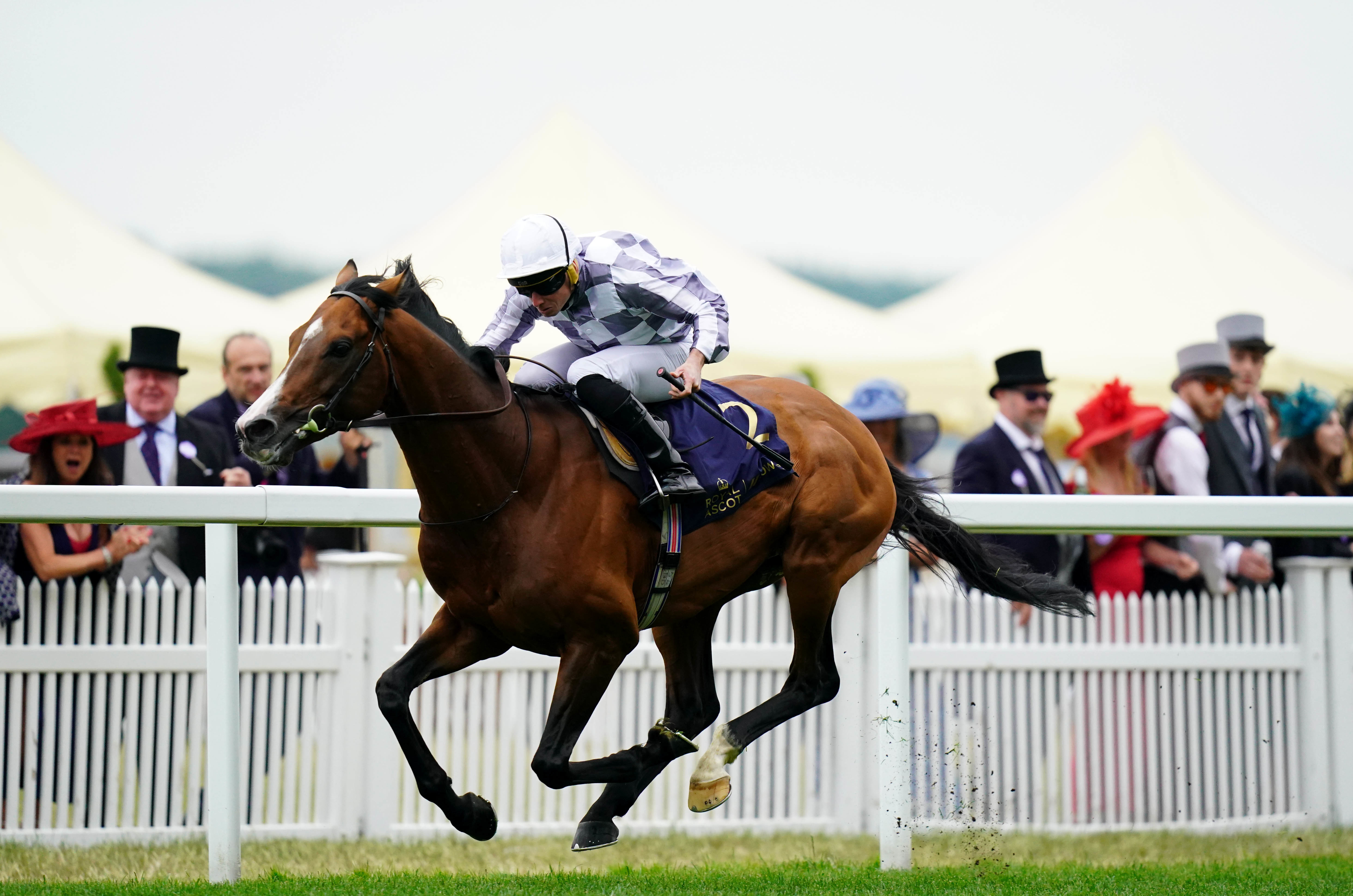 Broome bids to follow up his Dubai Gold Cup success