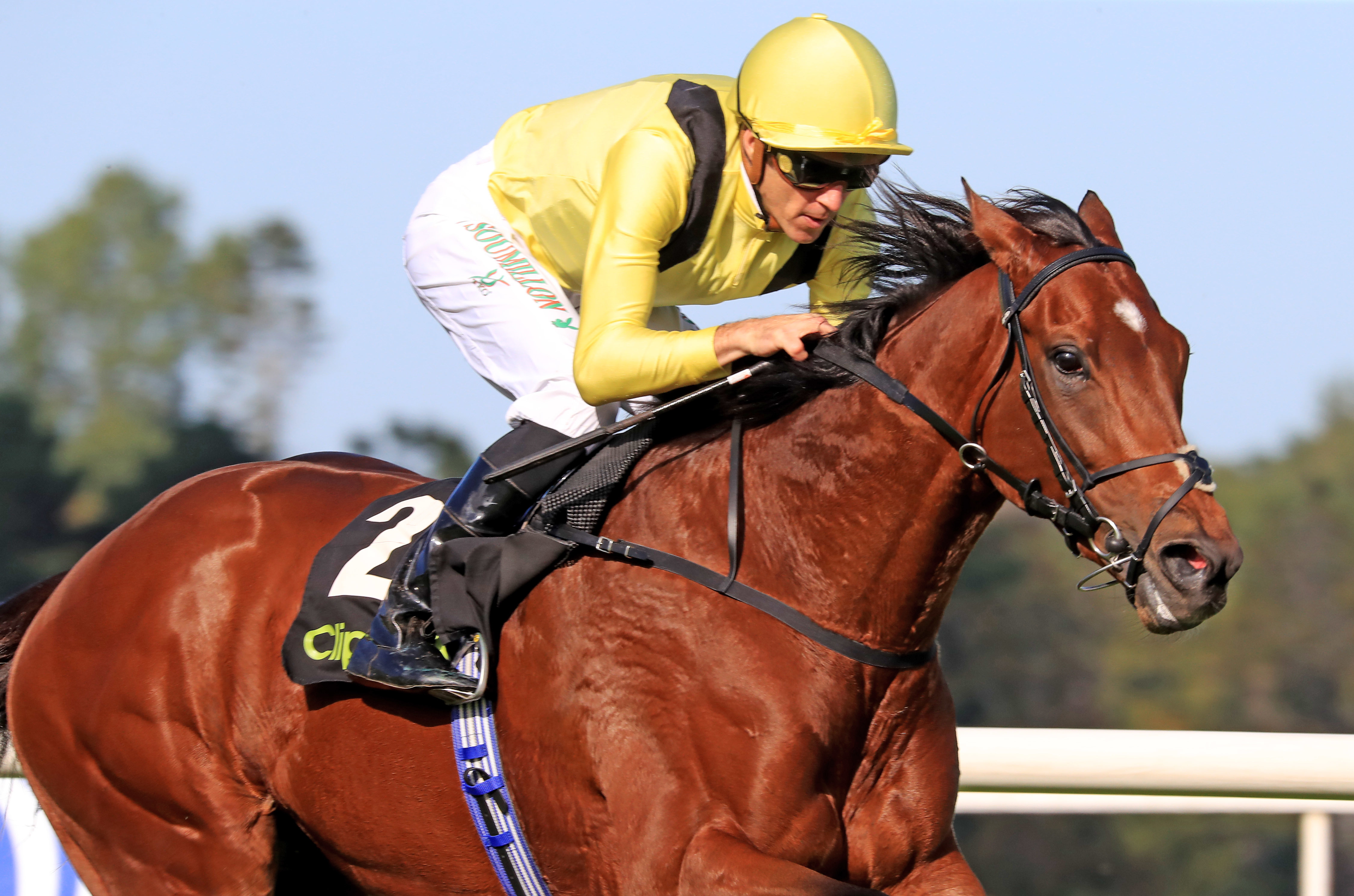 Jadoomi represents the Crisford team