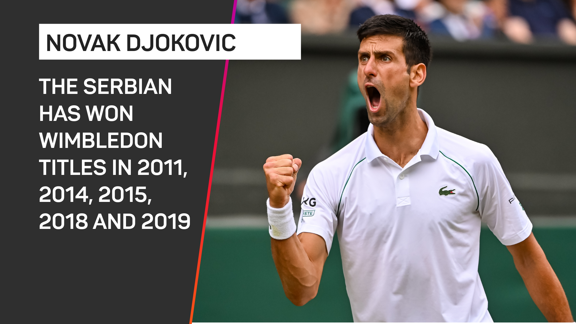 Novak Djokovic Wimbledon record