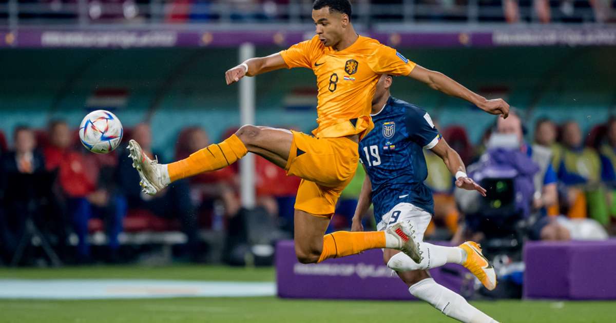 Netherlands' Cody Gakpo scores goal vs. Ecuador in 6