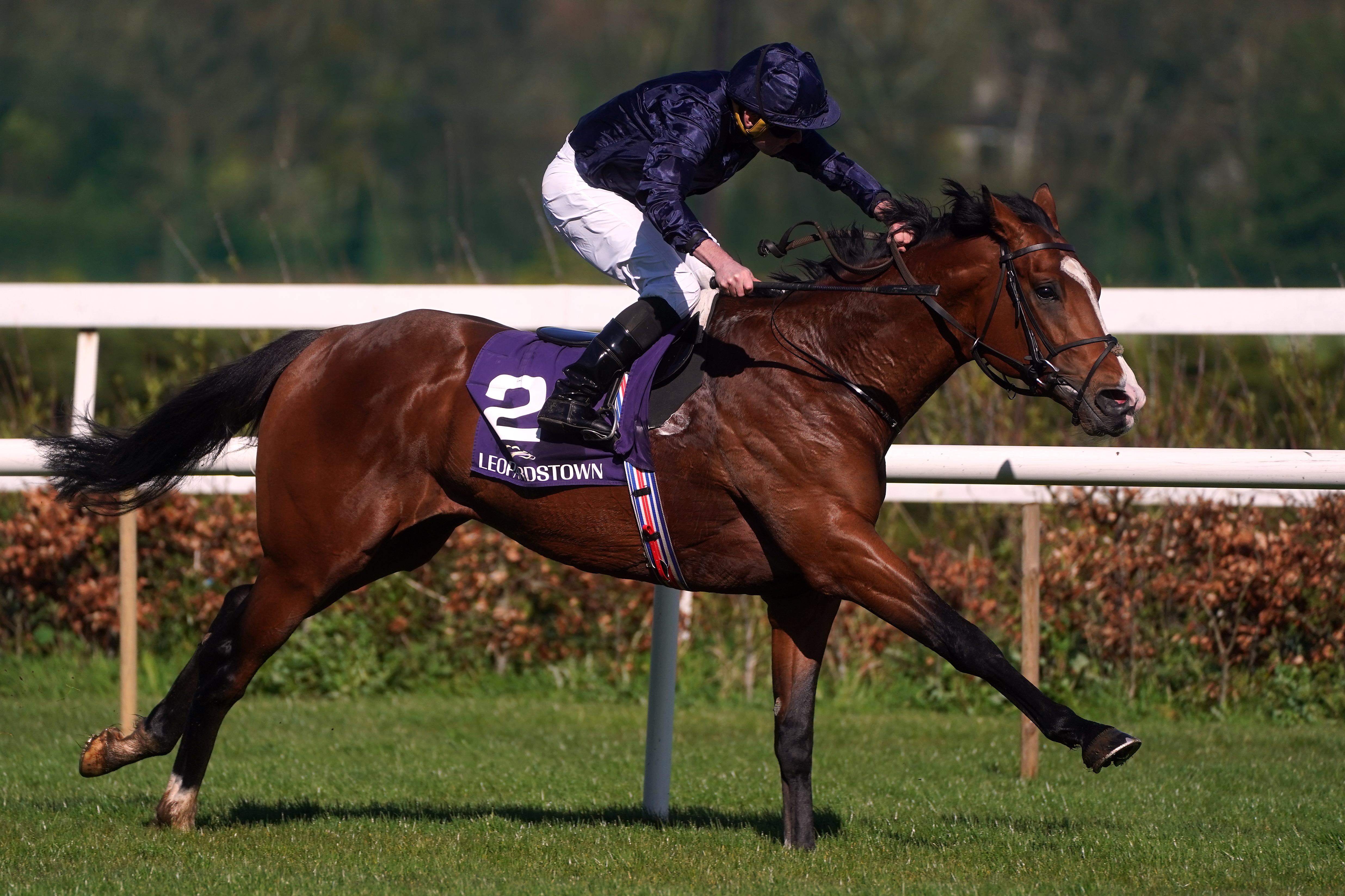 Chantilly won easily for Ballydoyle
