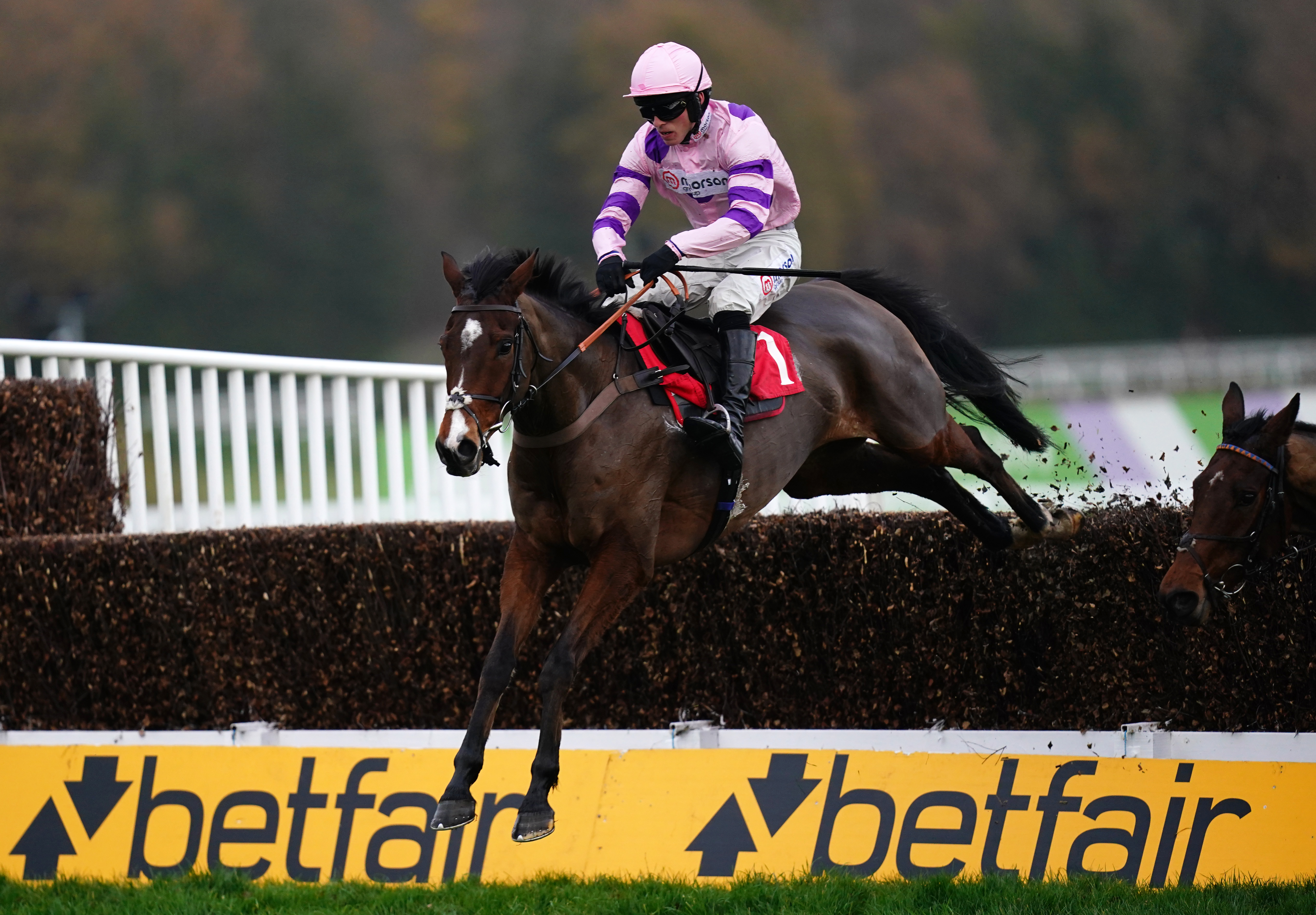 Stay Away Fay on his way to victory at Sandown