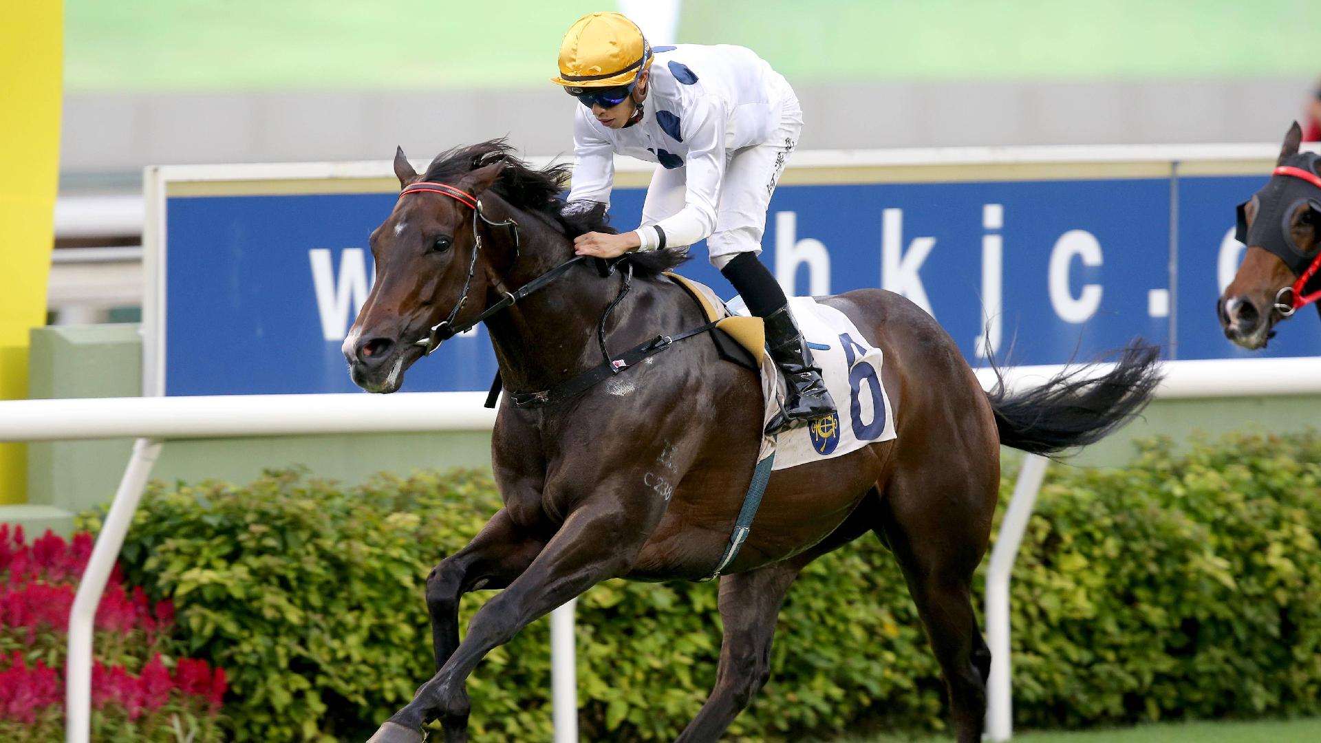 Hong Kong star Ho excited by Goodwood visit | LiveScore