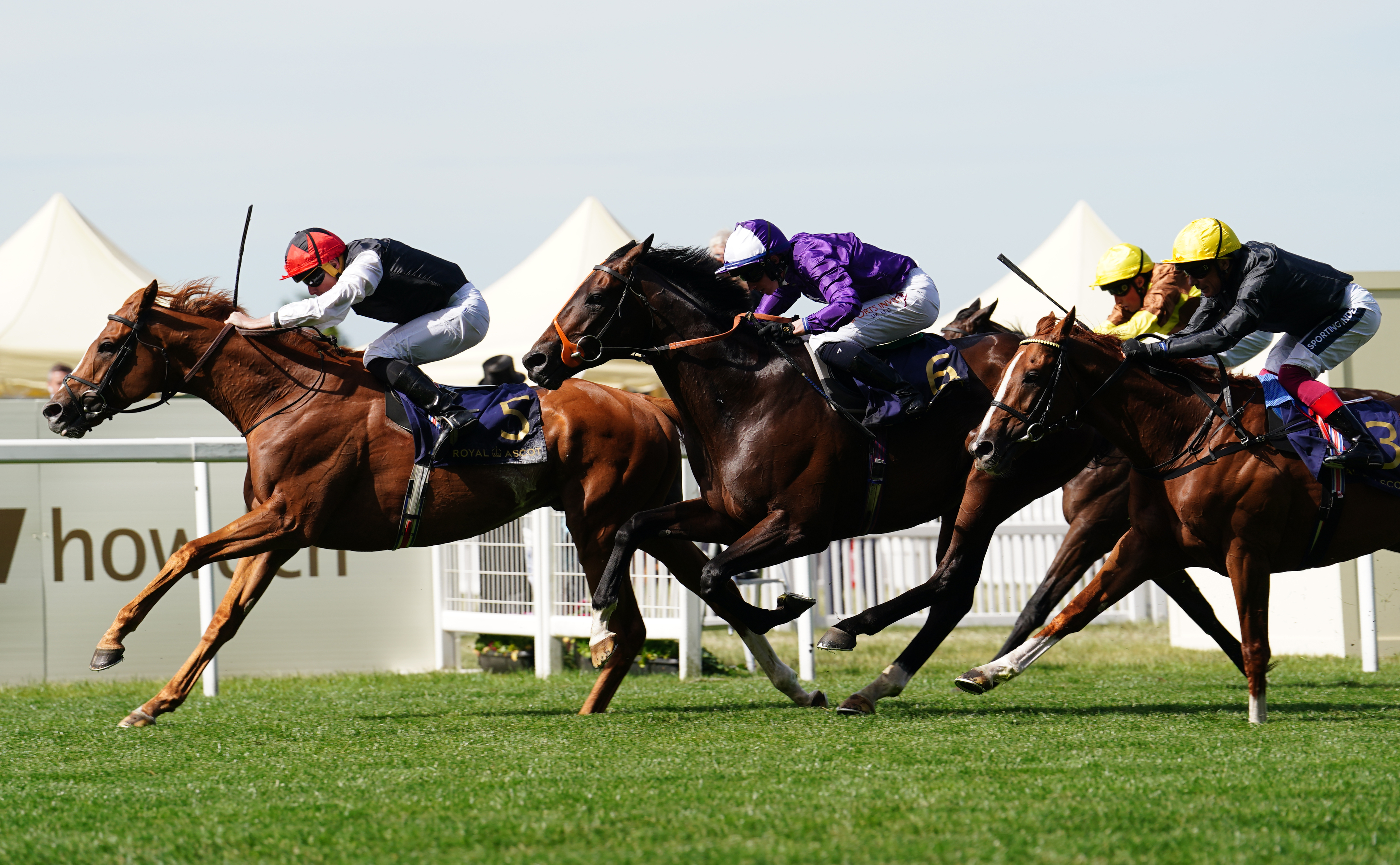 Kyprios winning the Gold Cup at Royal Ascot last year