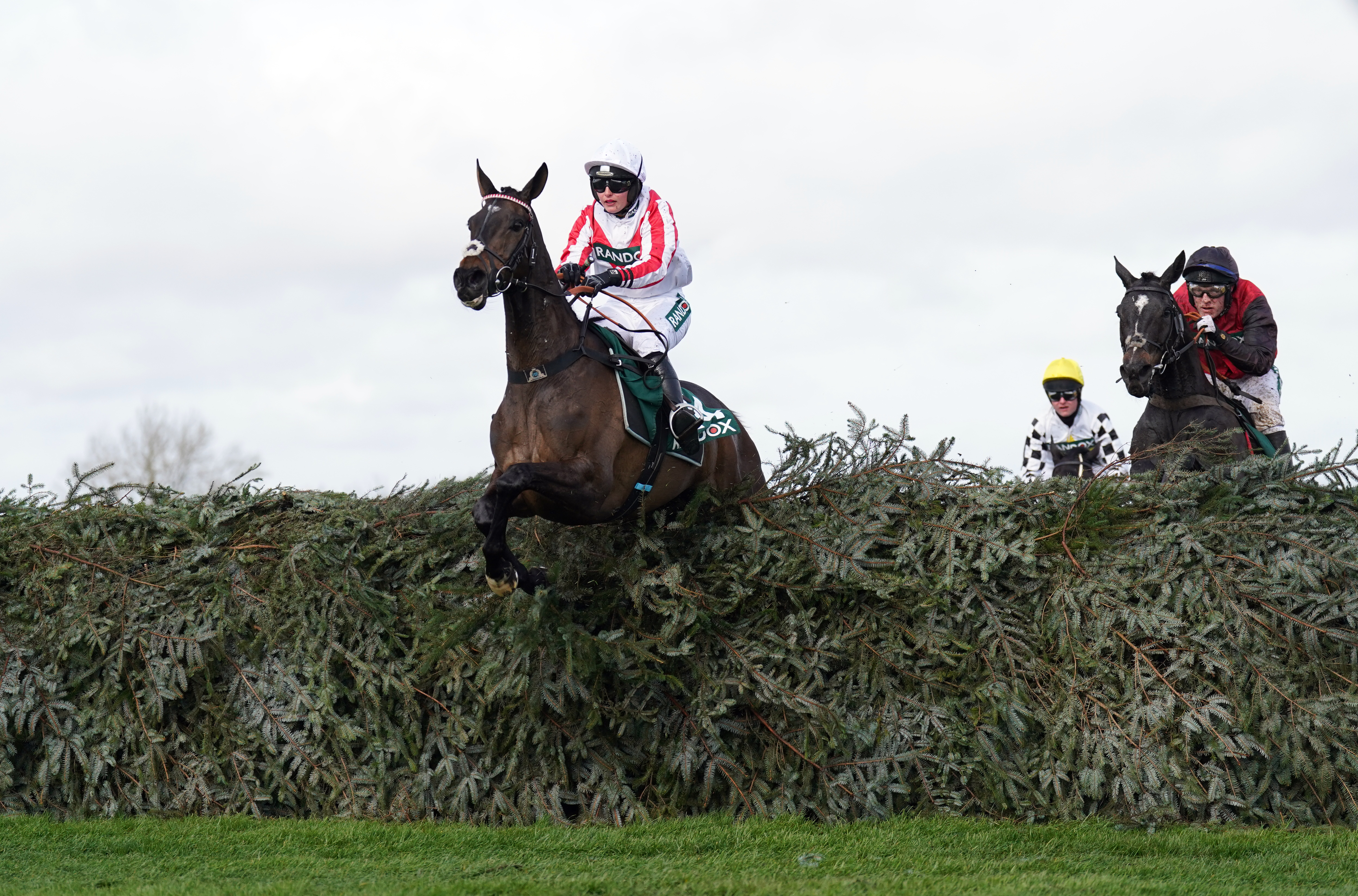 Latenightpass has a fine Aintree record