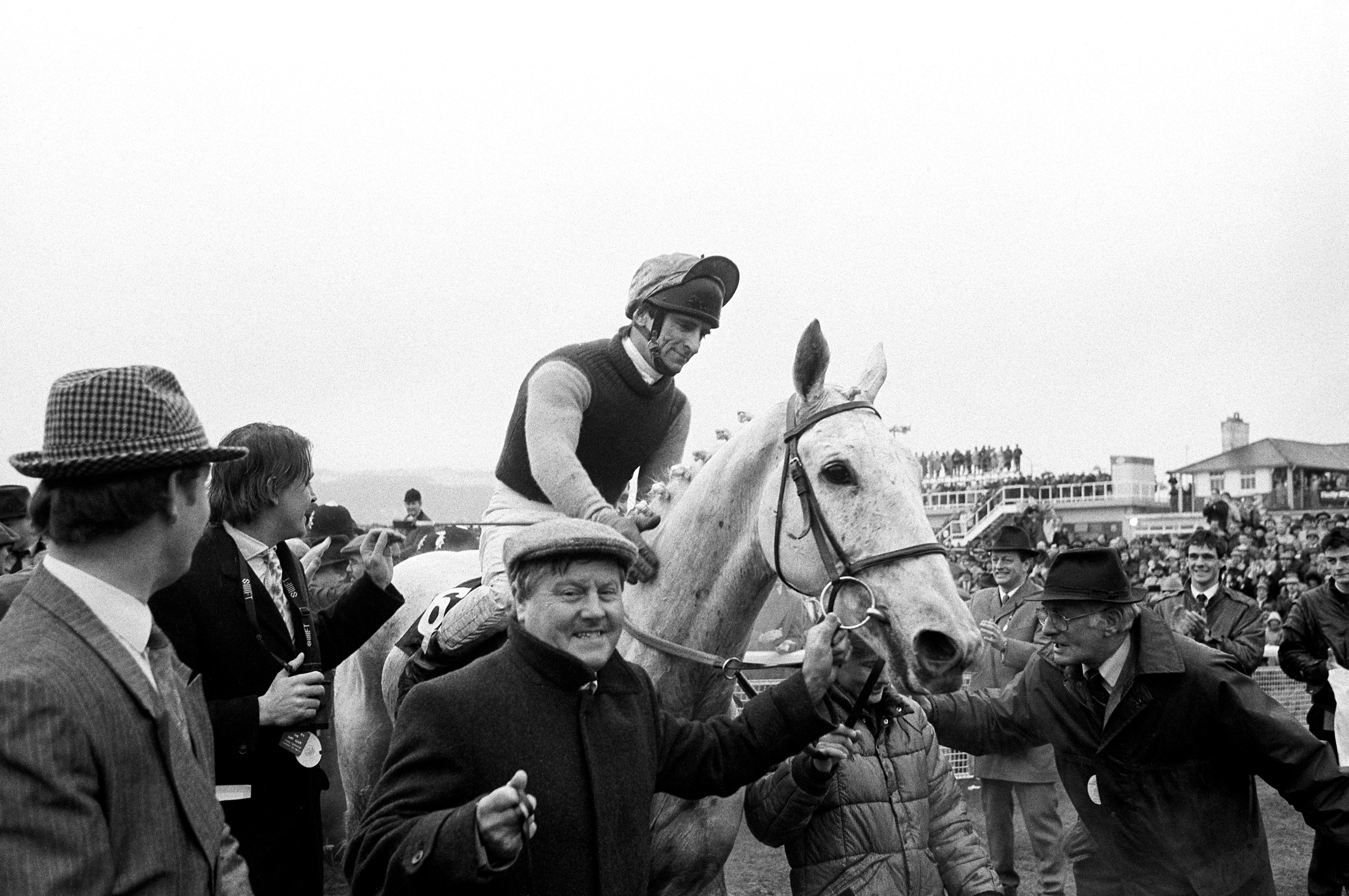 Desert Orchid – Tote Gold Cup