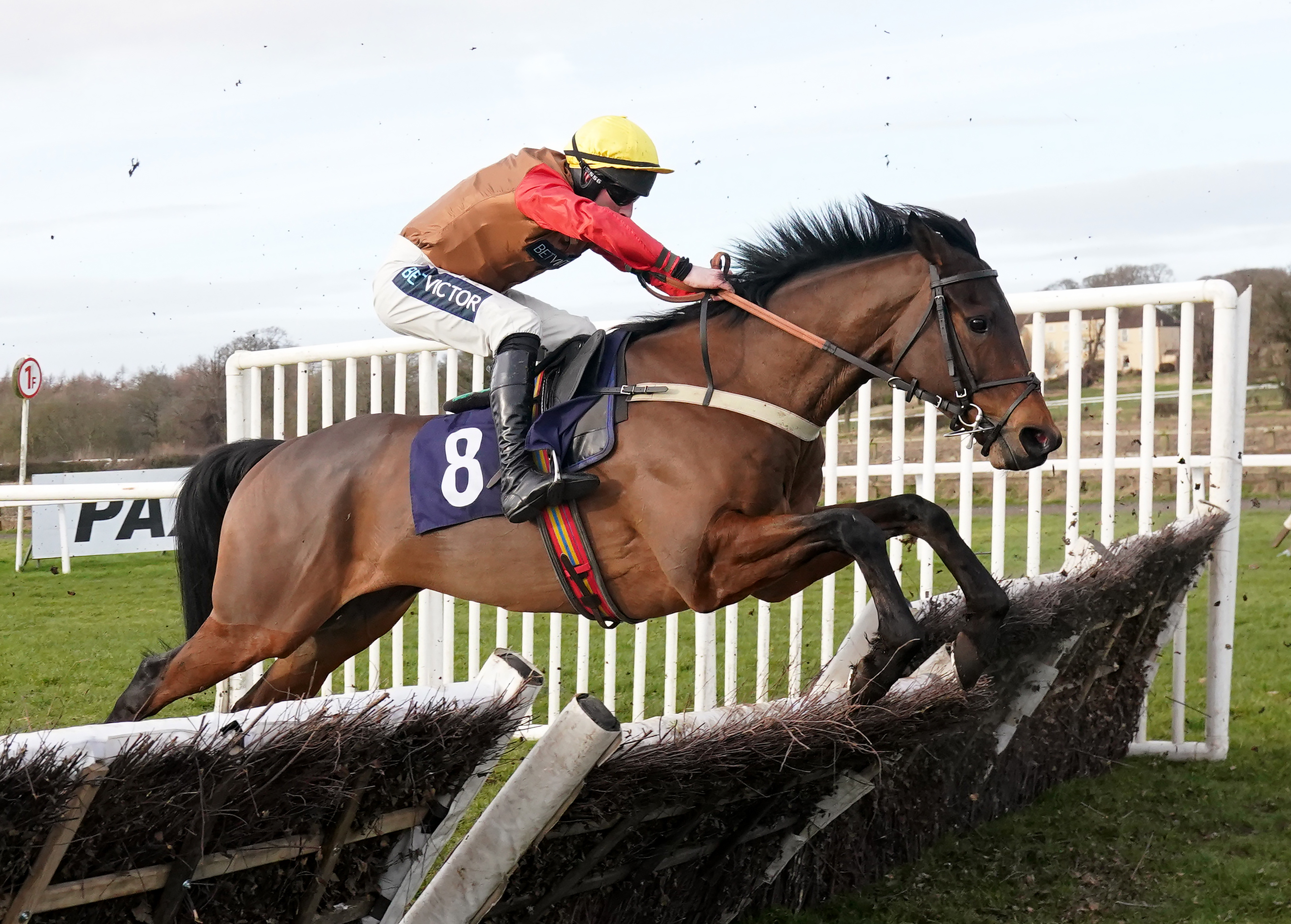 Reach For The Moon seemed to enjoy his jumping
