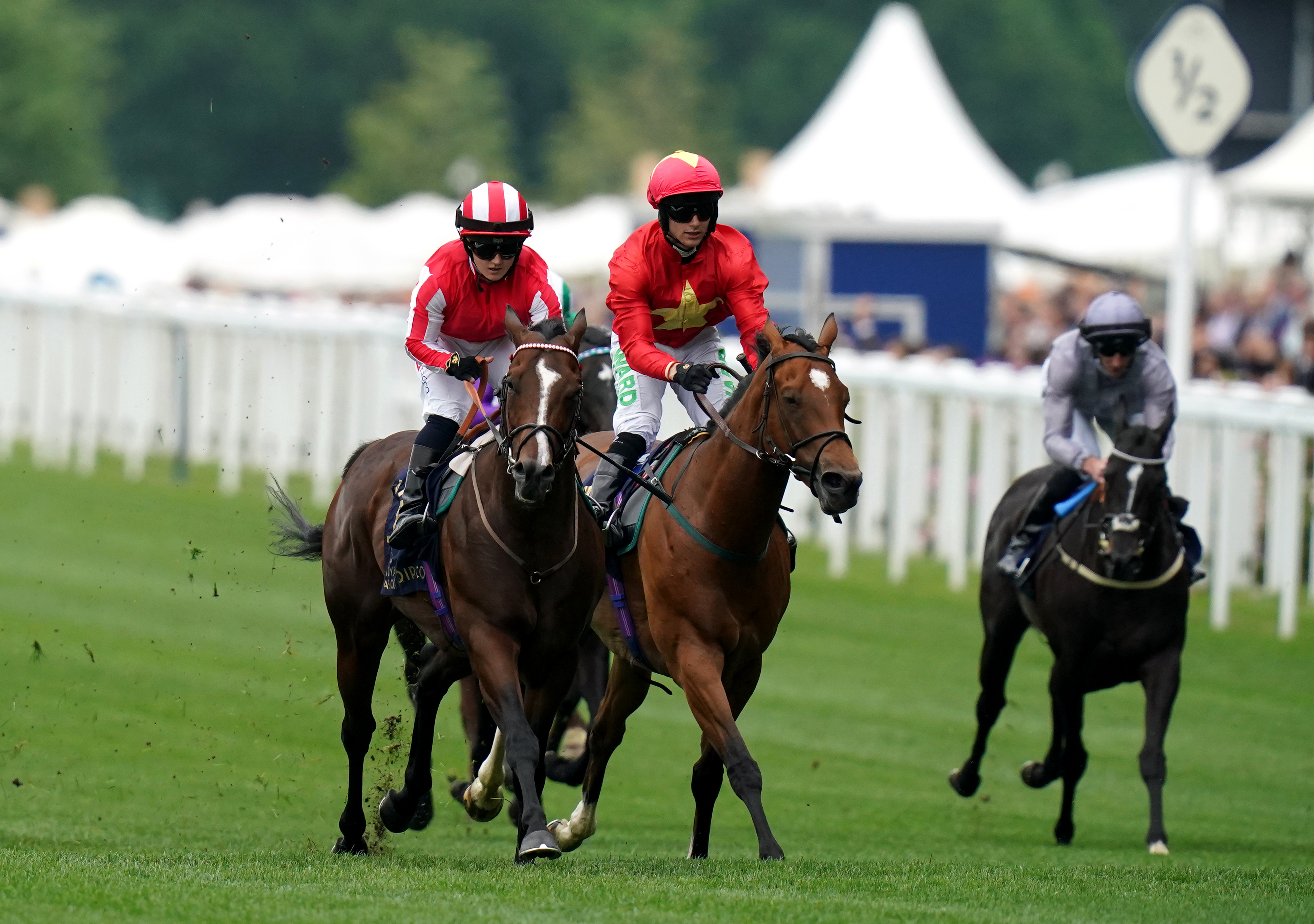 Bradsell (left) and Highfield Princess (right) will meet again in the Al Basti Equiworld, Dubai Flying Five Stakes