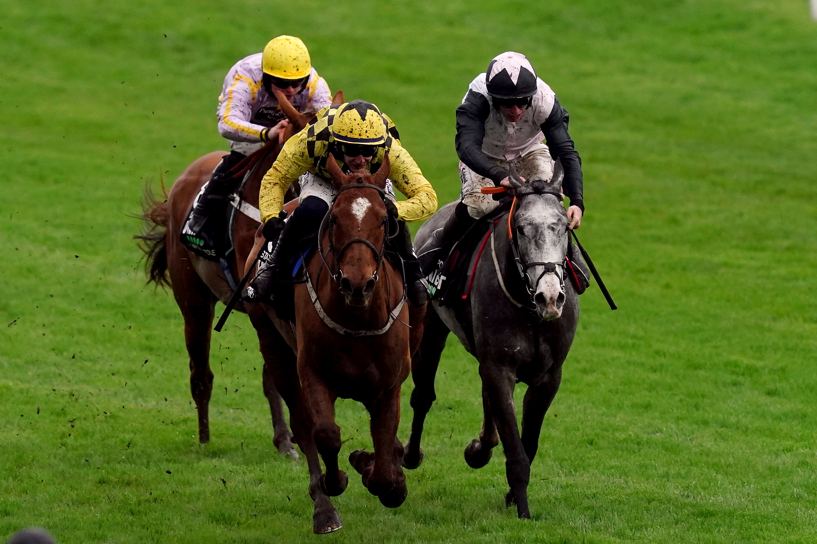 Luccia (yellow cap) was not beaten far at all in the Champion Hurdle