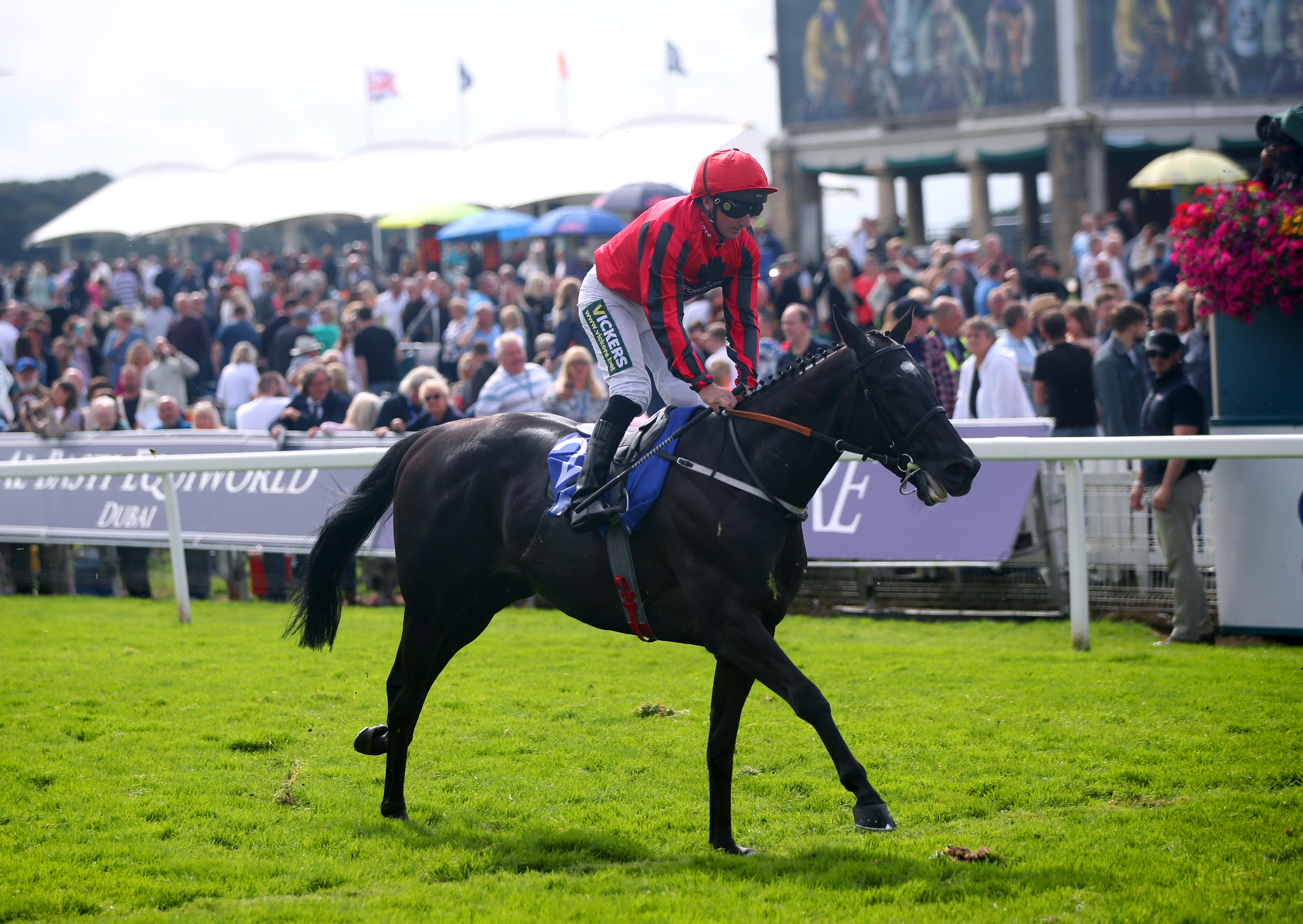 Paul Hanagan crosses the finish line on Wootton’Sun