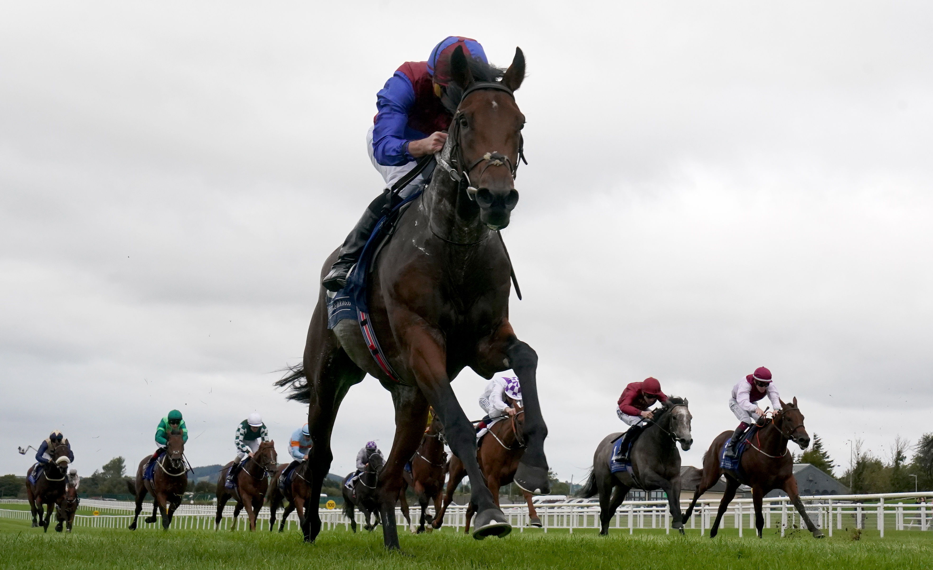 Espionage showed some high-class form last season