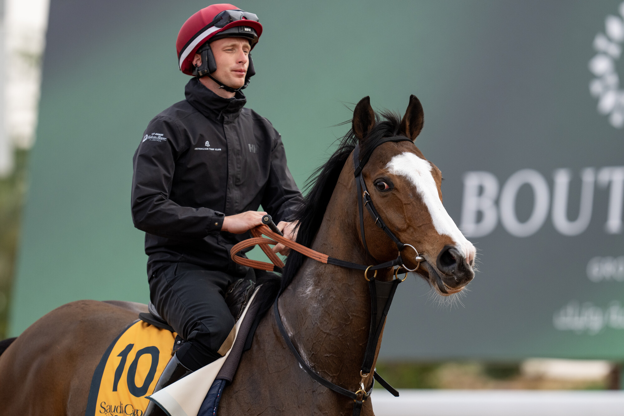 Spirit Dancer on track at Riyadh