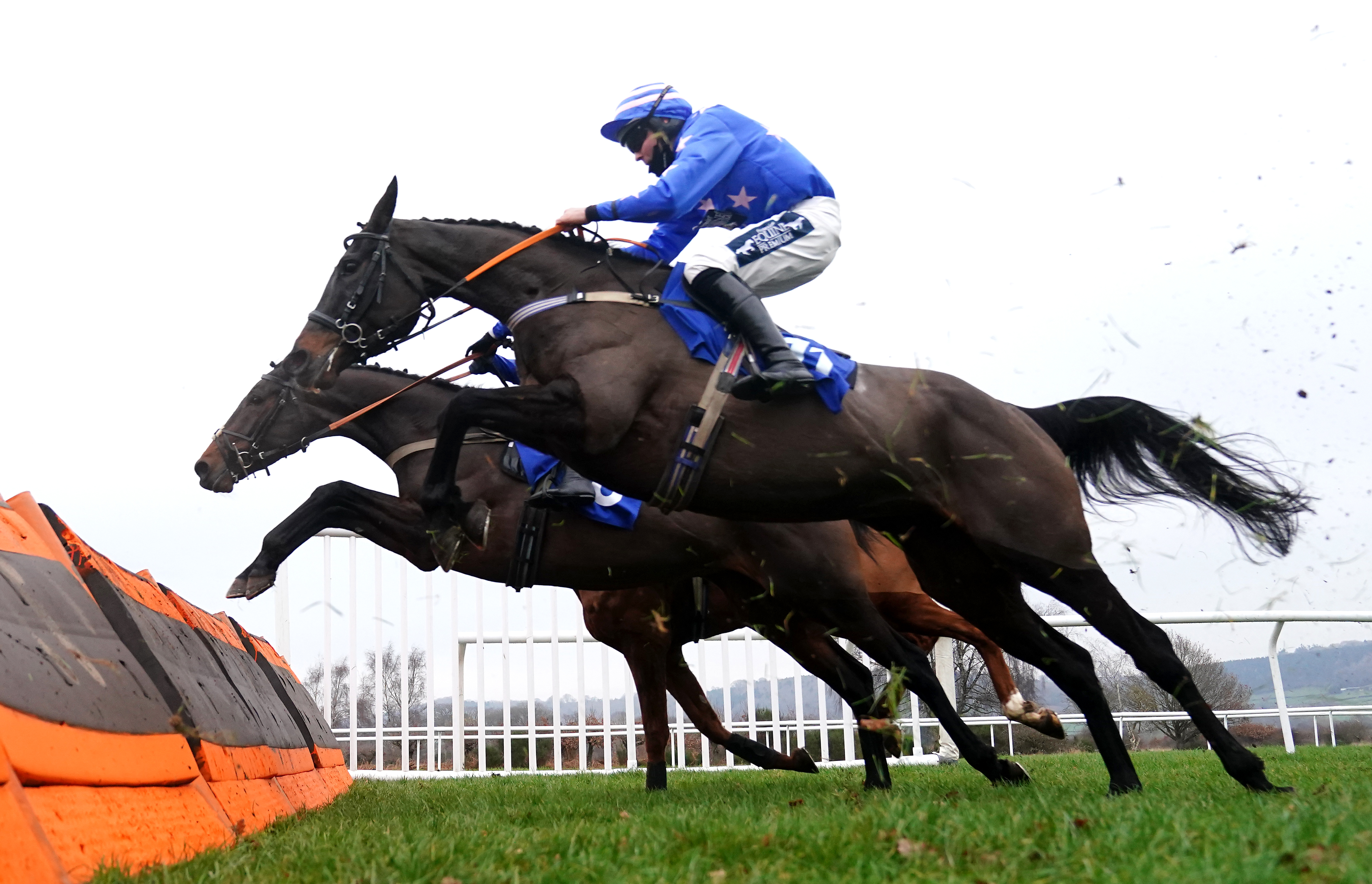 Malaita in action over hurdles at Ludlow