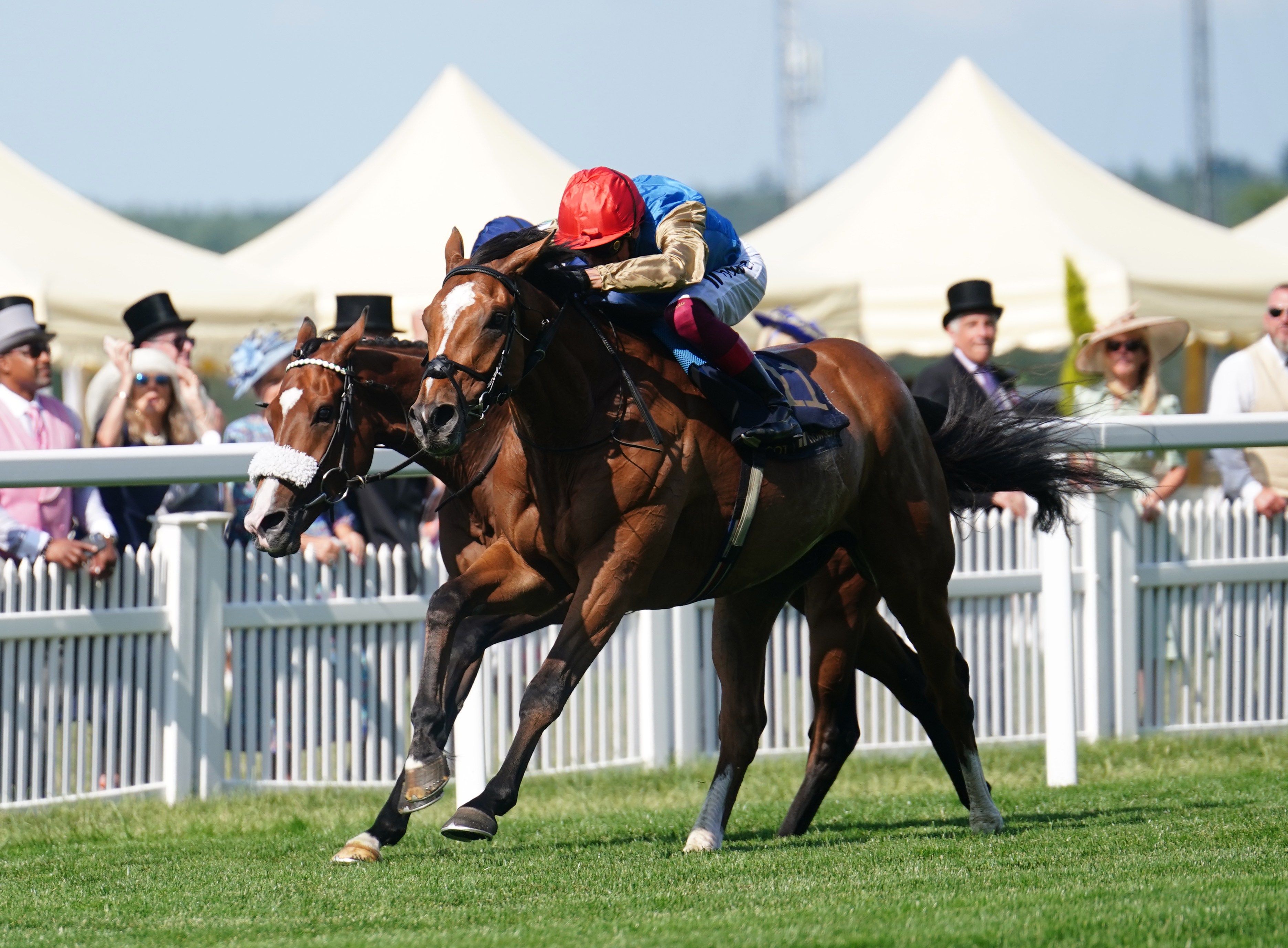 Courage Mon Ami winning the Gold Cup at Royal Ascot